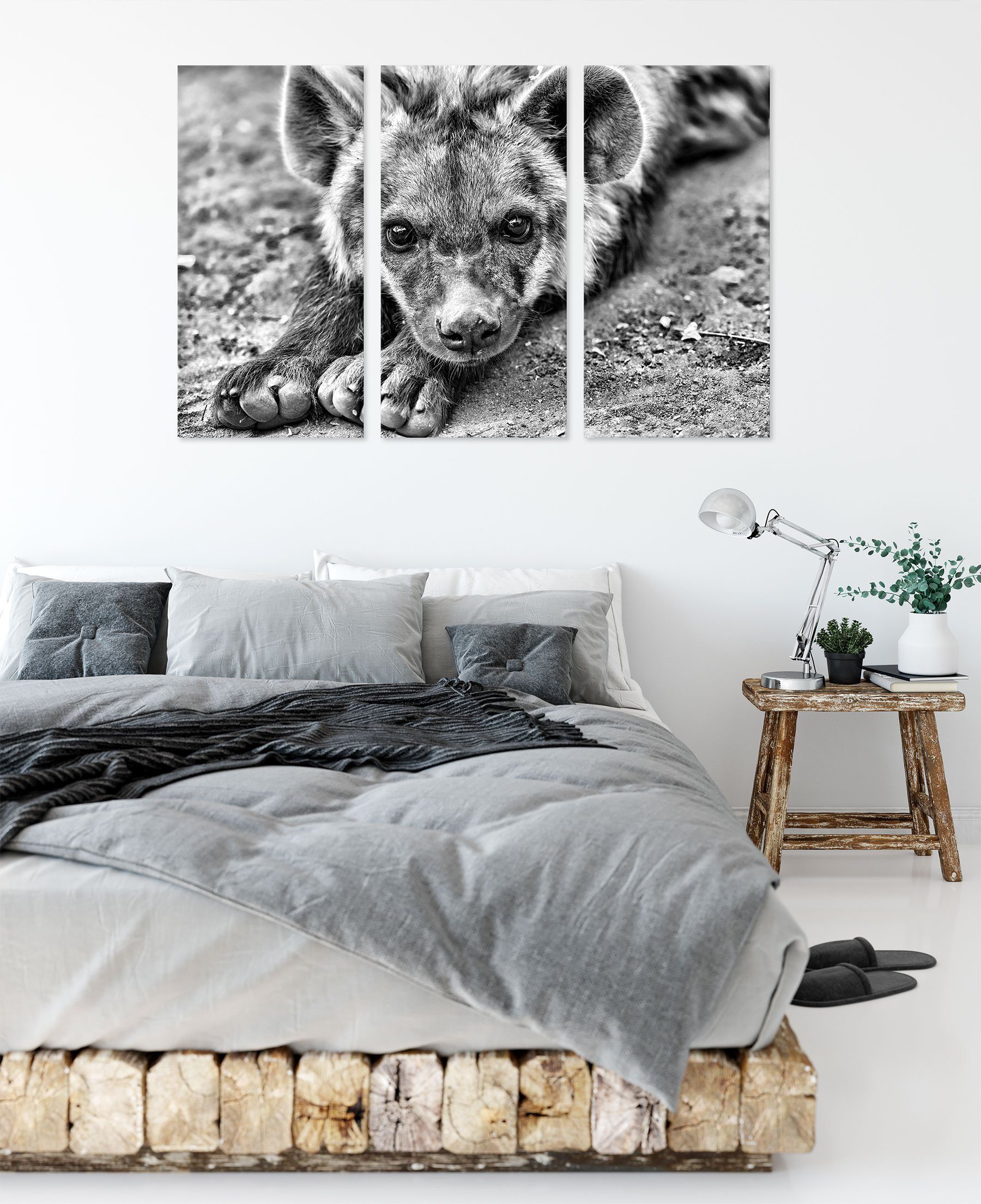Hyäne, Leinwandbild niedliche Hyäne inkl. Pixxprint (120x80cm) bespannt, Leinwandbild Zackenaufhänger St), niedliche (1 3Teiler fertig