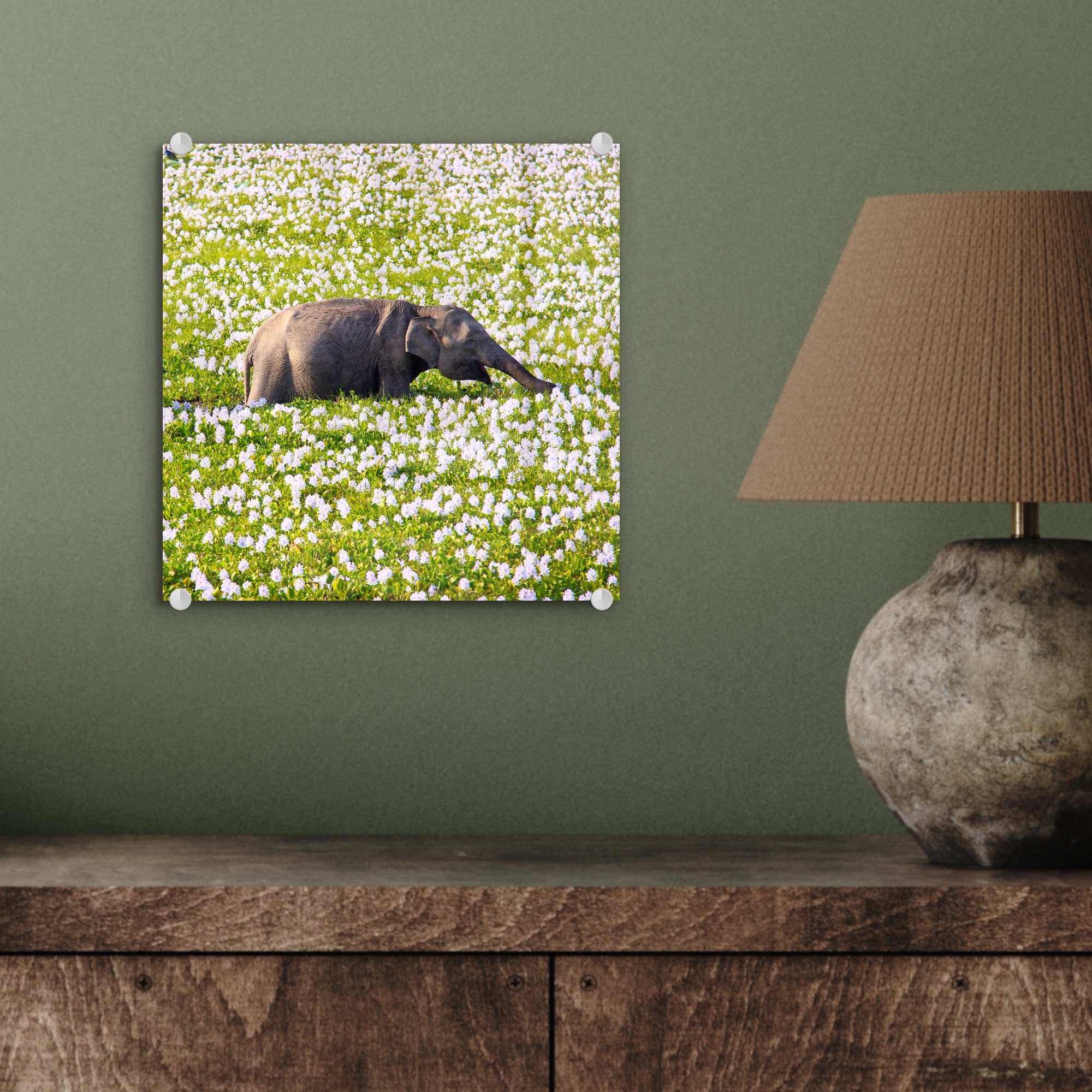 MuchoWow Acrylglasbild Elefant - Grün - - - (1 Wanddekoration - Wandbild Bilder Glasbilder - auf Glas auf Natur - Tiere, Foto Glas St), Wasser Pflanzen 