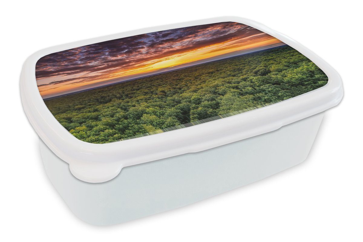 Jungs Wald Brotbox (2-tlg), weiß Mädchen Kunststoff, für Bäume, und Kinder Erwachsene, Lunchbox Himmel Brotdose, Horizont - - für - MuchoWow und - Nacht