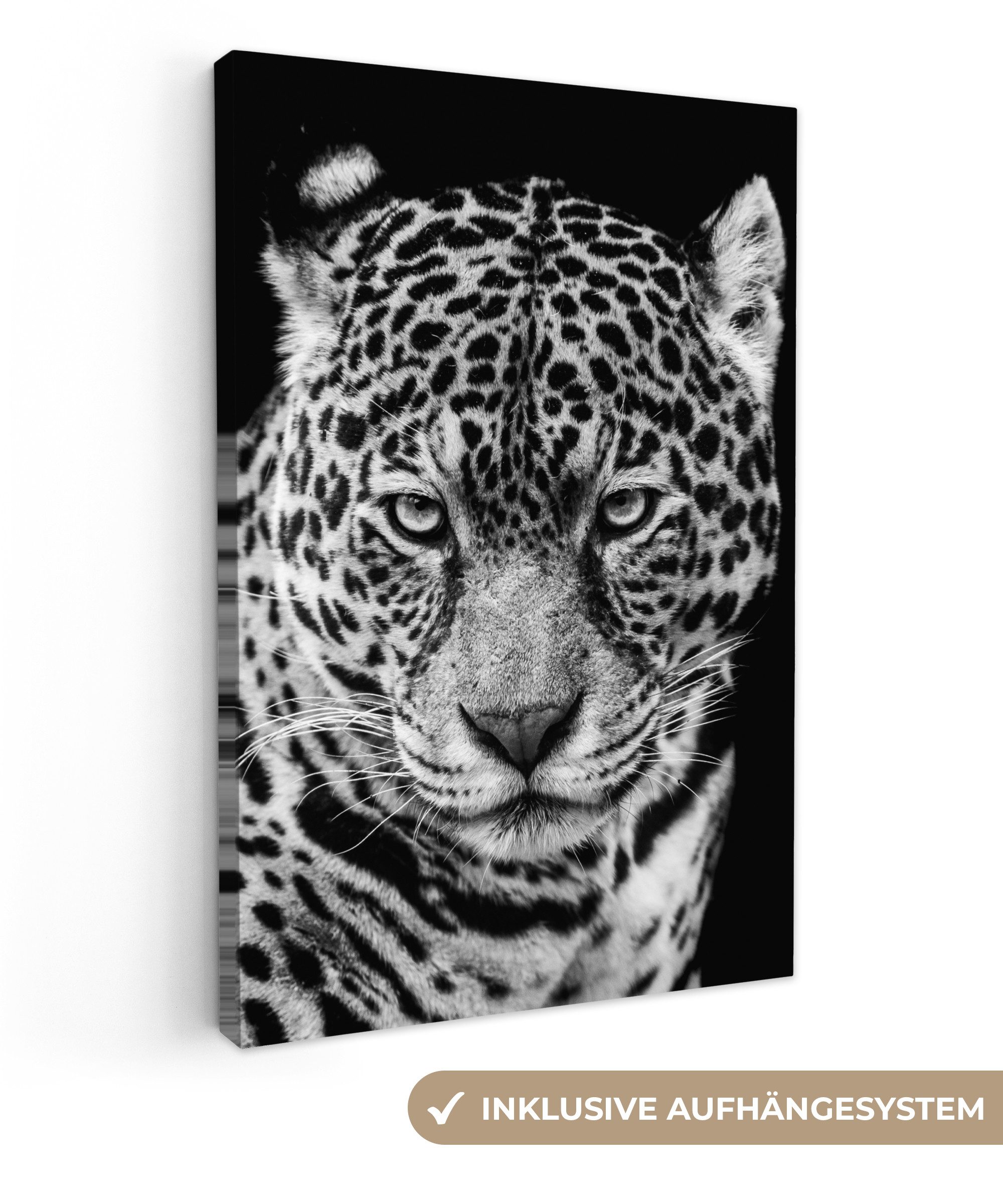 OneMillionCanvasses® Leinwandbild Leopard - Tiere - Schwarz - Weiß - Porträ günstig online kaufen