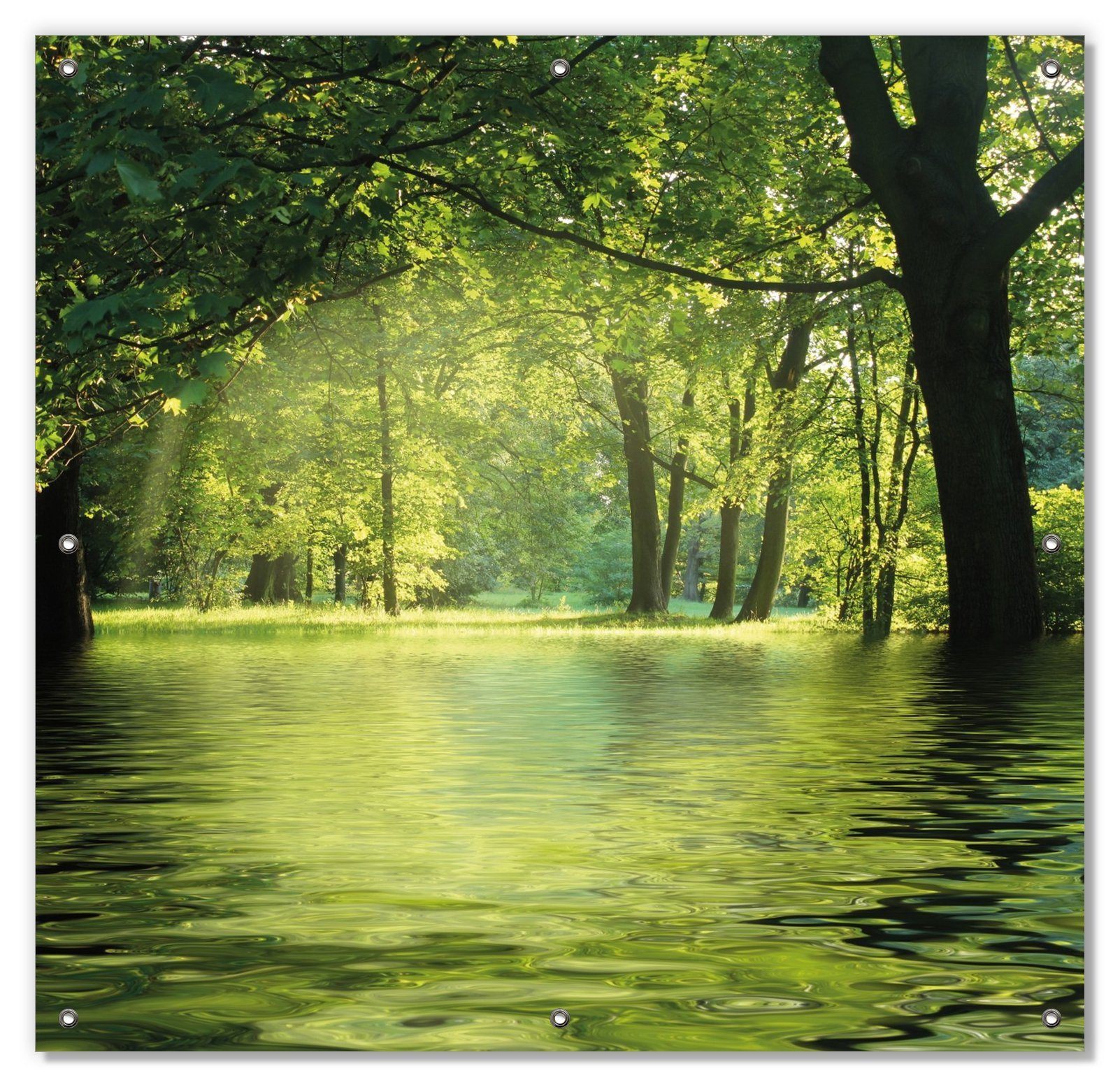 Sonnenschutz Idyllischer See im Wald bei Sonnenschein, Wallario, blickdicht, mit Saugnäpfen, wiederablösbar und wiederverwendbar