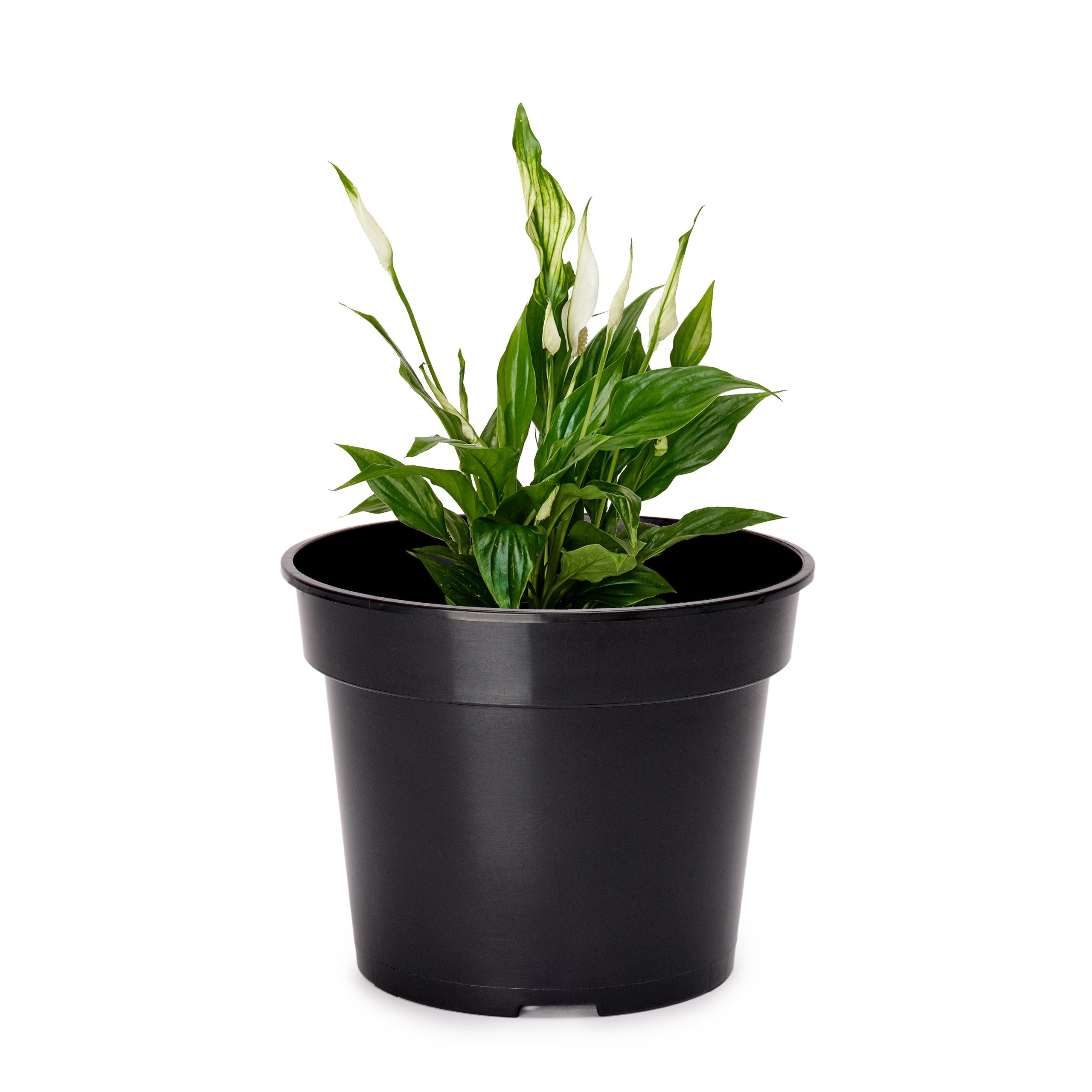 Garronda Blumentopf Kunststoff rund Pflanztopf Kräutertopf Anzuchttopf für Garten GD-0025 (1 St)