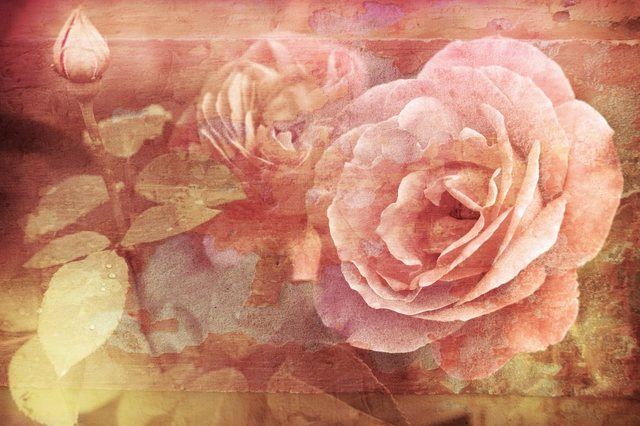 Papermoon Fototapete »Vintage Florals«, glatt-Otto