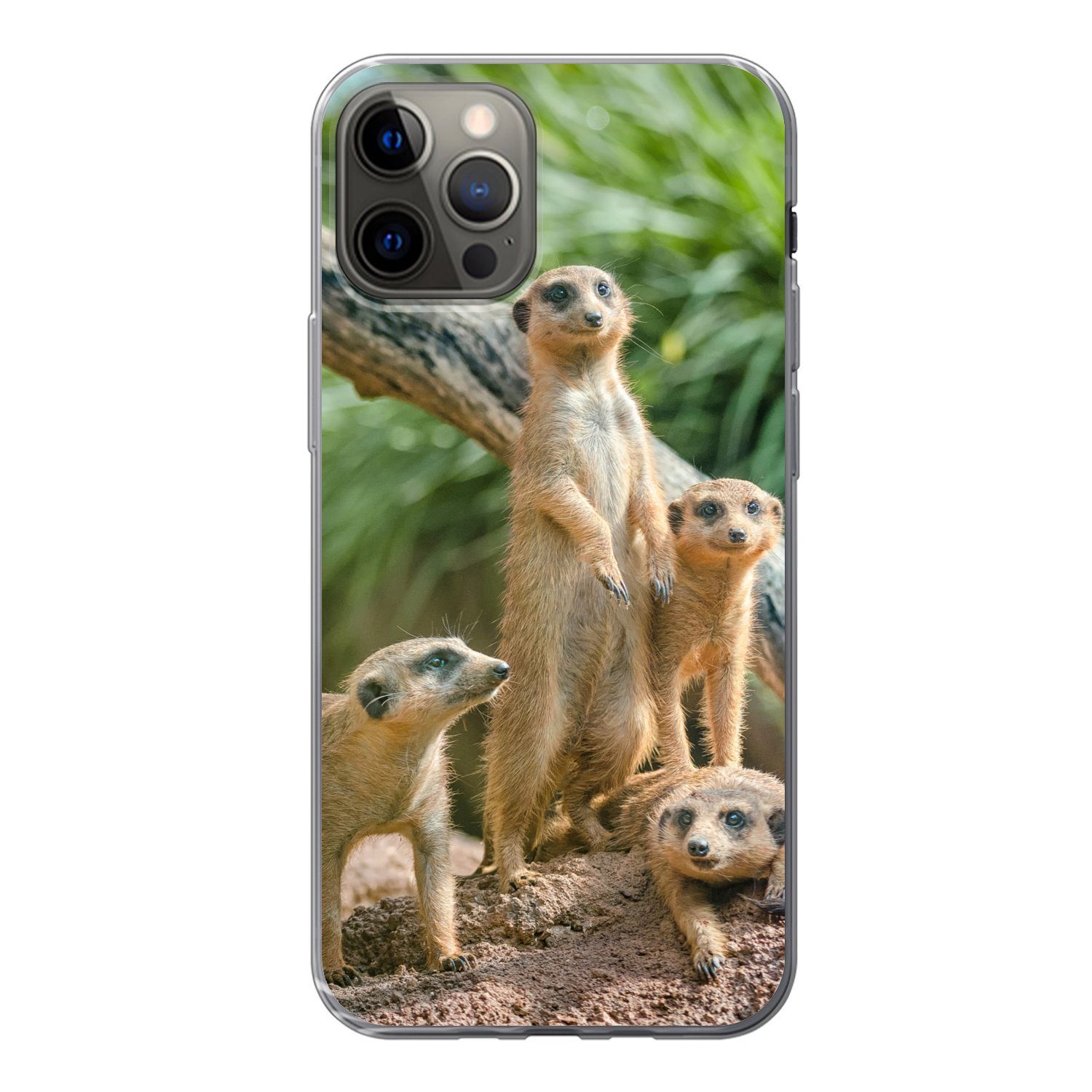 MuchoWow Handyhülle für Apple iPhone 12 Pro Familie - Tiere - Erdmännchen, Smartphone-Bumper, Print, Handy Schutzhülle Dünn