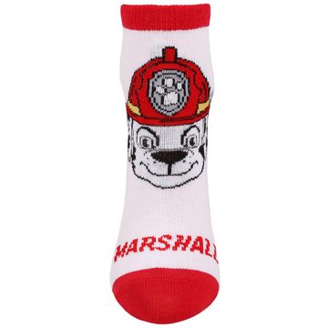 Sarcia.eu Haussocken Zwei Paar Babysocken für Jungen Paw Patrol