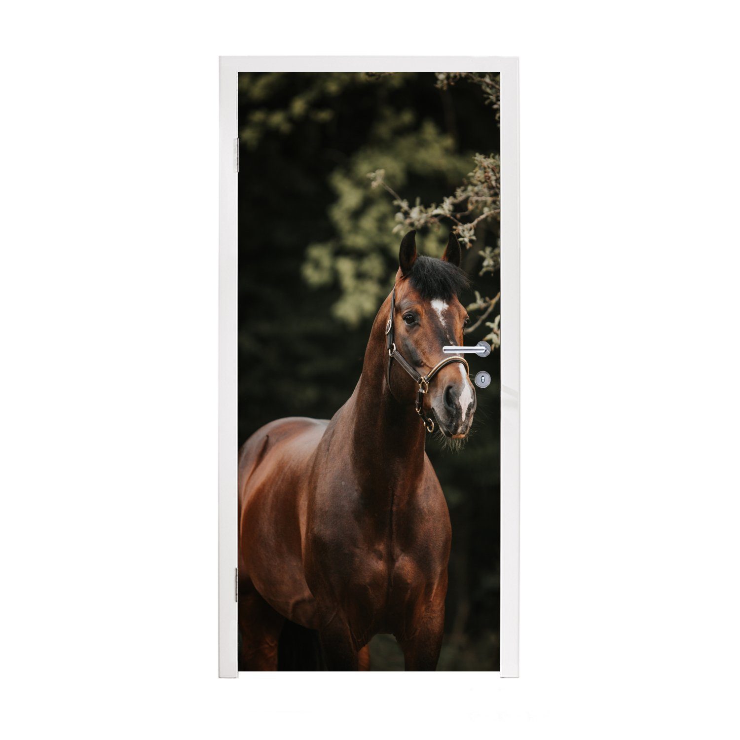 Äste Türaufkleber, MuchoWow bedruckt, (1 Porträt, - St), Türtapete Fototapete Pferd - für Matt, Tür, cm 75x205