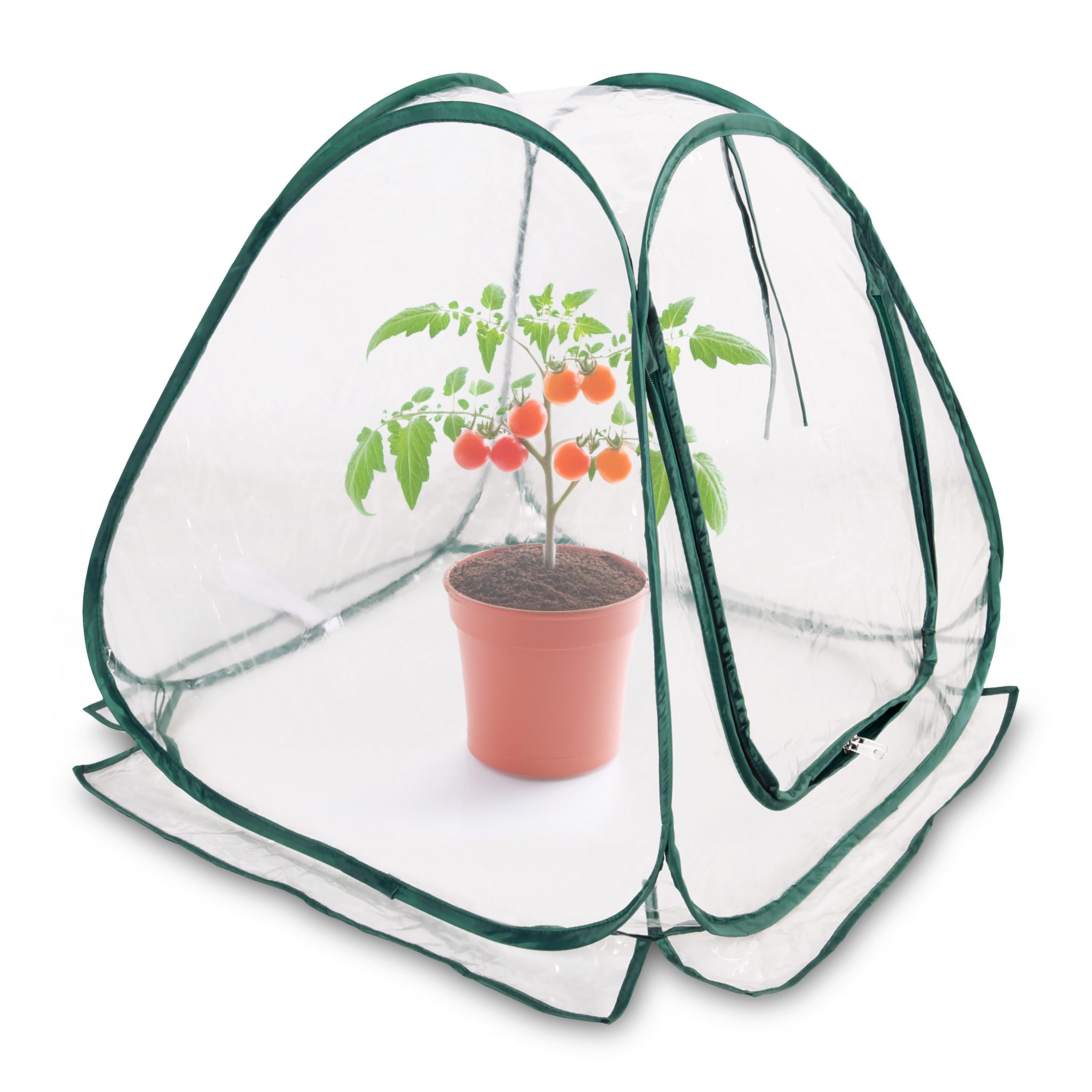 Spetebo Foliengewächshaus Mini Pop-Up Folien Gewächshaus günstig online kaufen