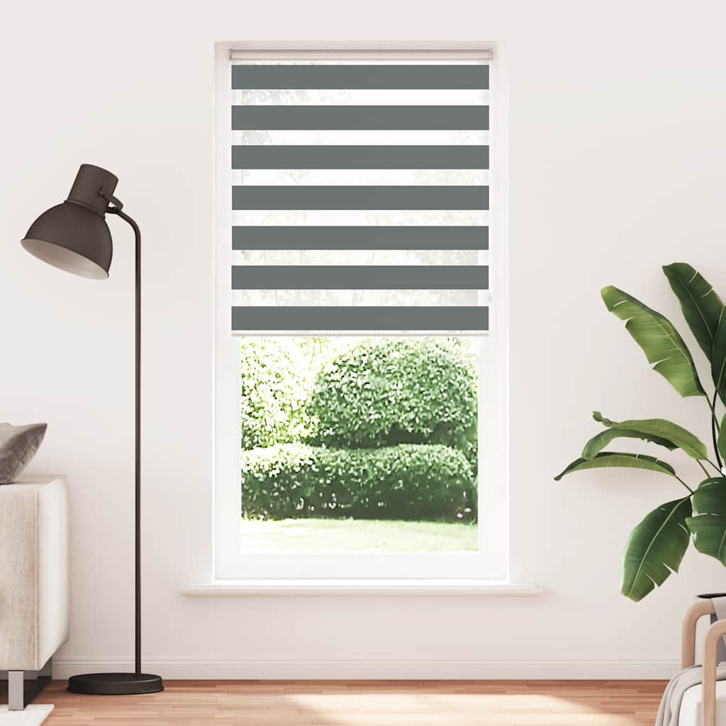 Rollo Doppelrollo Dunkelgrau 100x230 cm Stoffbreite 95,9 cm Polyester, vida günstig online kaufen