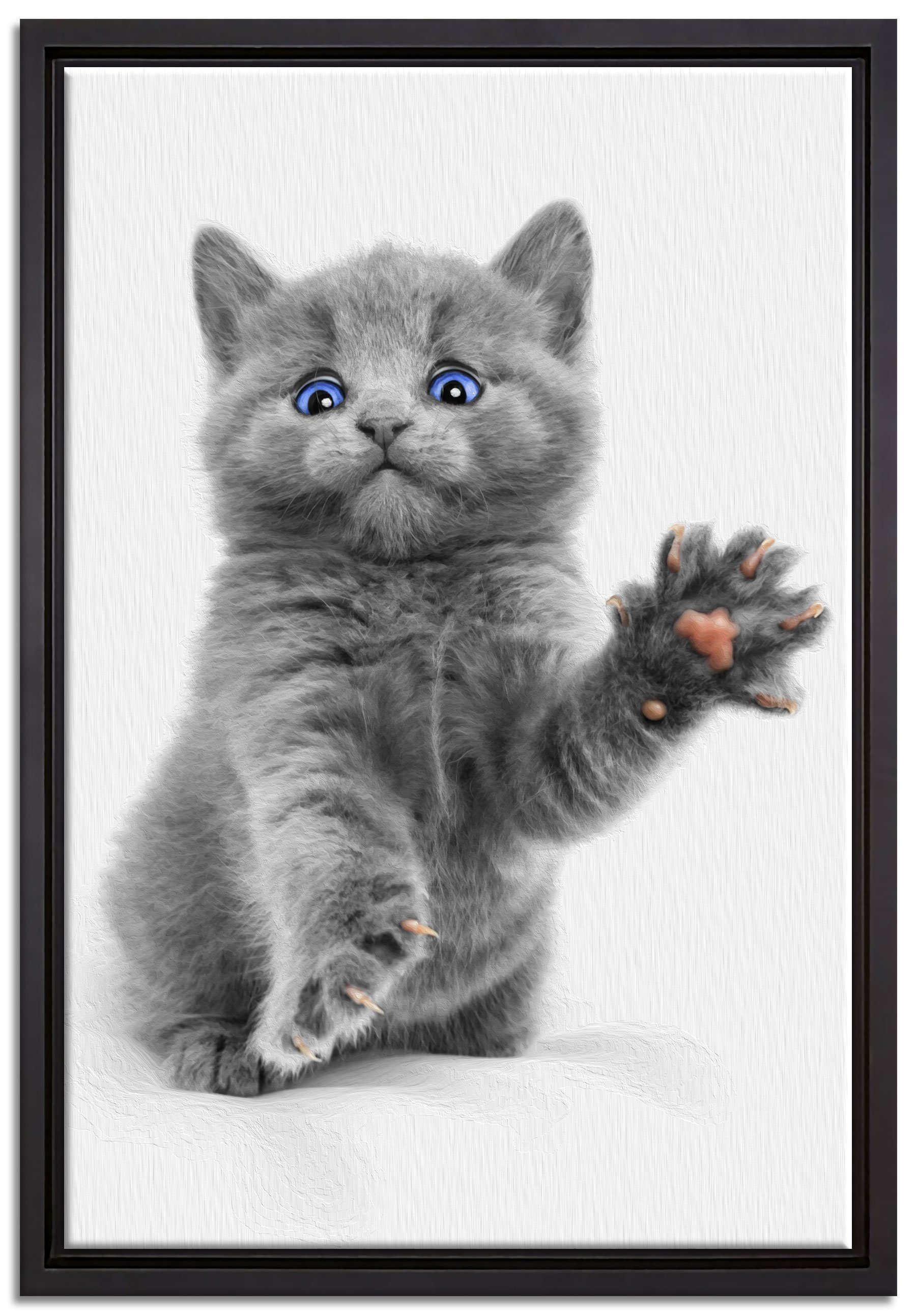 Pixxprint Leinwandbild süße kleine blaue Katze, Wanddekoration (1 St), Leinwandbild fertig bespannt, in einem Schattenfugen-Bilderrahmen gefasst, inkl. Zackenaufhänger | Leinwandbilder