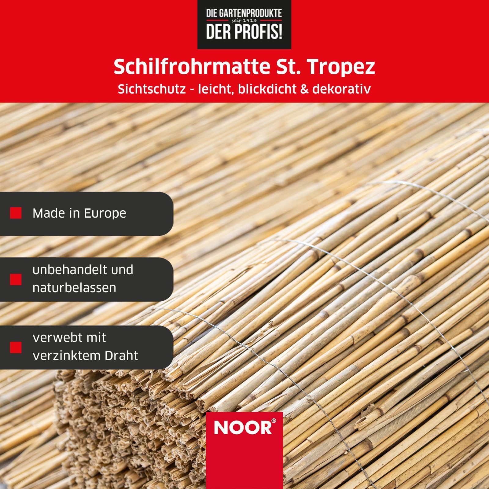 NOOR Sichtschutzzaunmatten Schilfrohrmatte ST. TROPEZ, natürlicher Sichtschutz aus Schilf