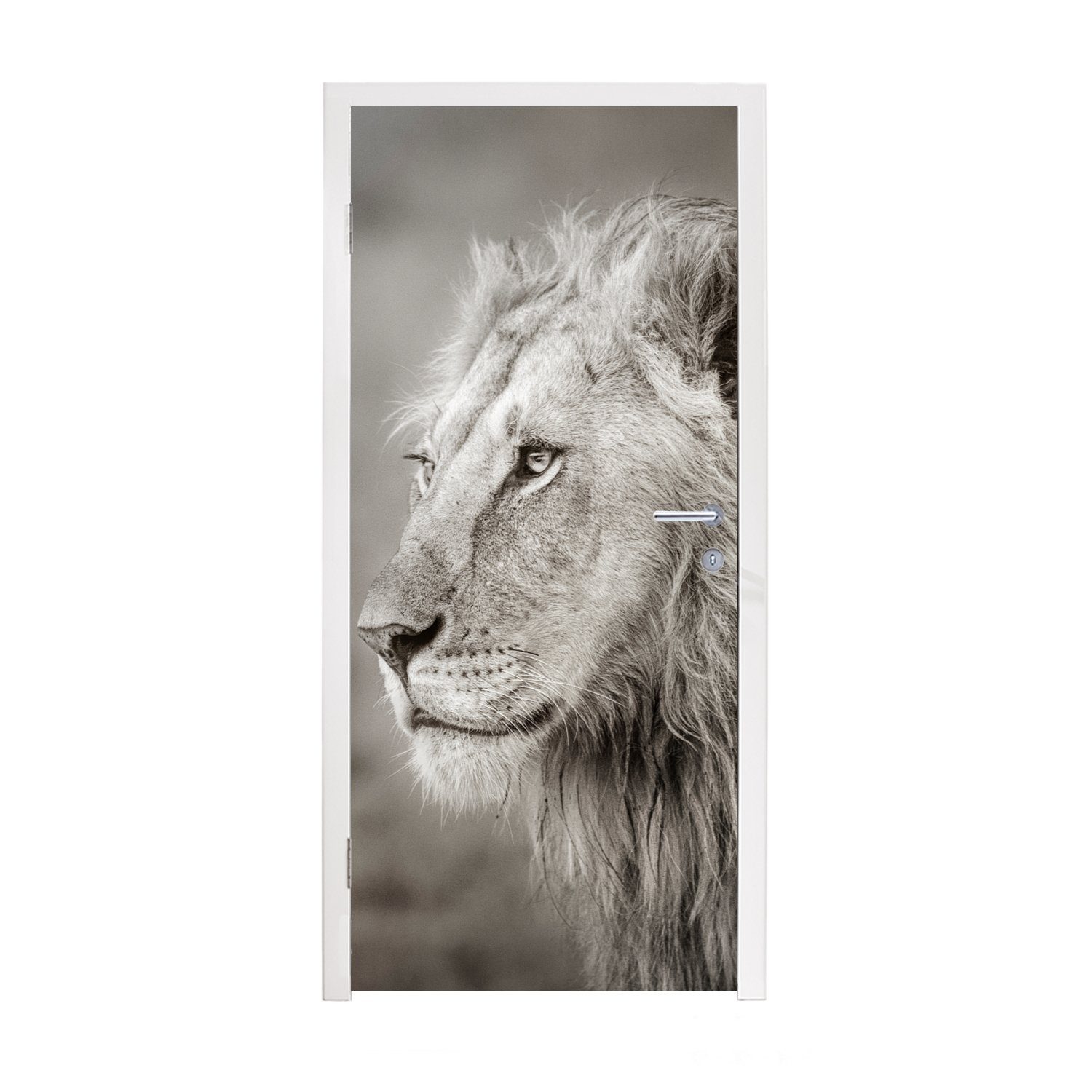 MuchoWow Türtapete Löwe - Wilde Tiere - Schwarz, Matt, bedruckt, (1 St), Fototapete für Tür, Türaufkleber, 75x205 cm