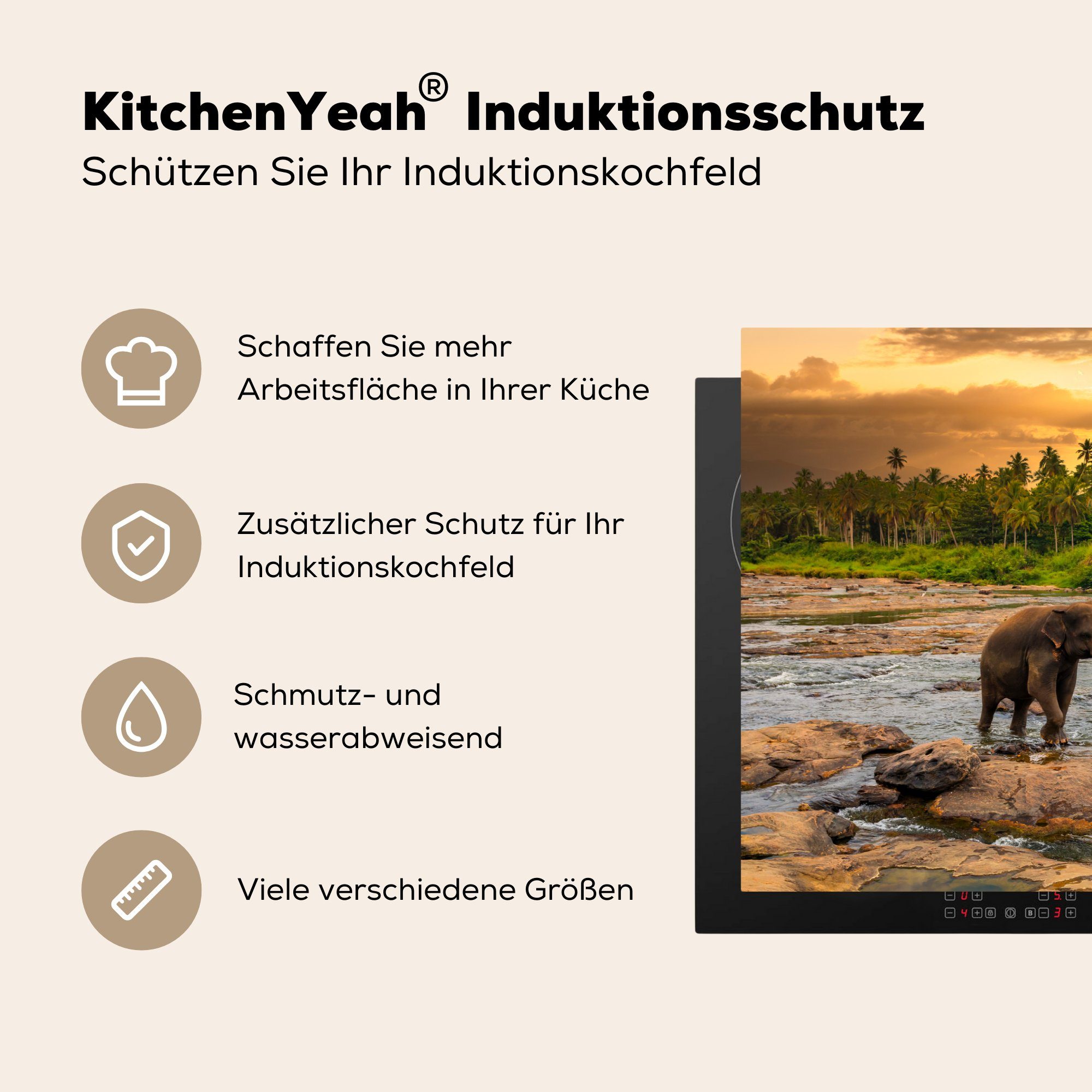 81x52 Schutz cm, Induktionskochfeld Elefant Vinyl, Wilder tlg), in einem Sri, felsigen Fluss Herdblende-/Abdeckplatte Sonnenuntergang MuchoWow (1 Ceranfeldabdeckung bei für die in küche,