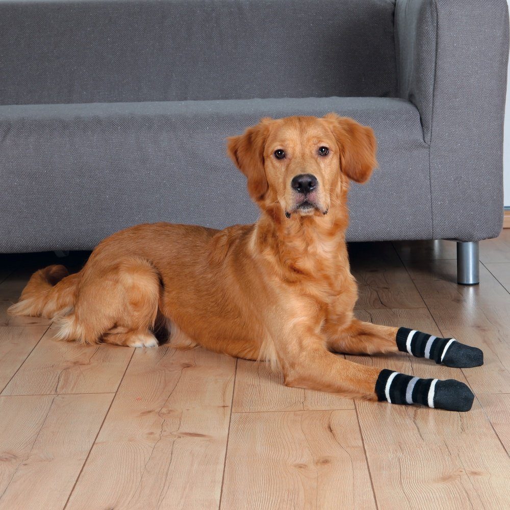 Pfotenschutz Hundesocken