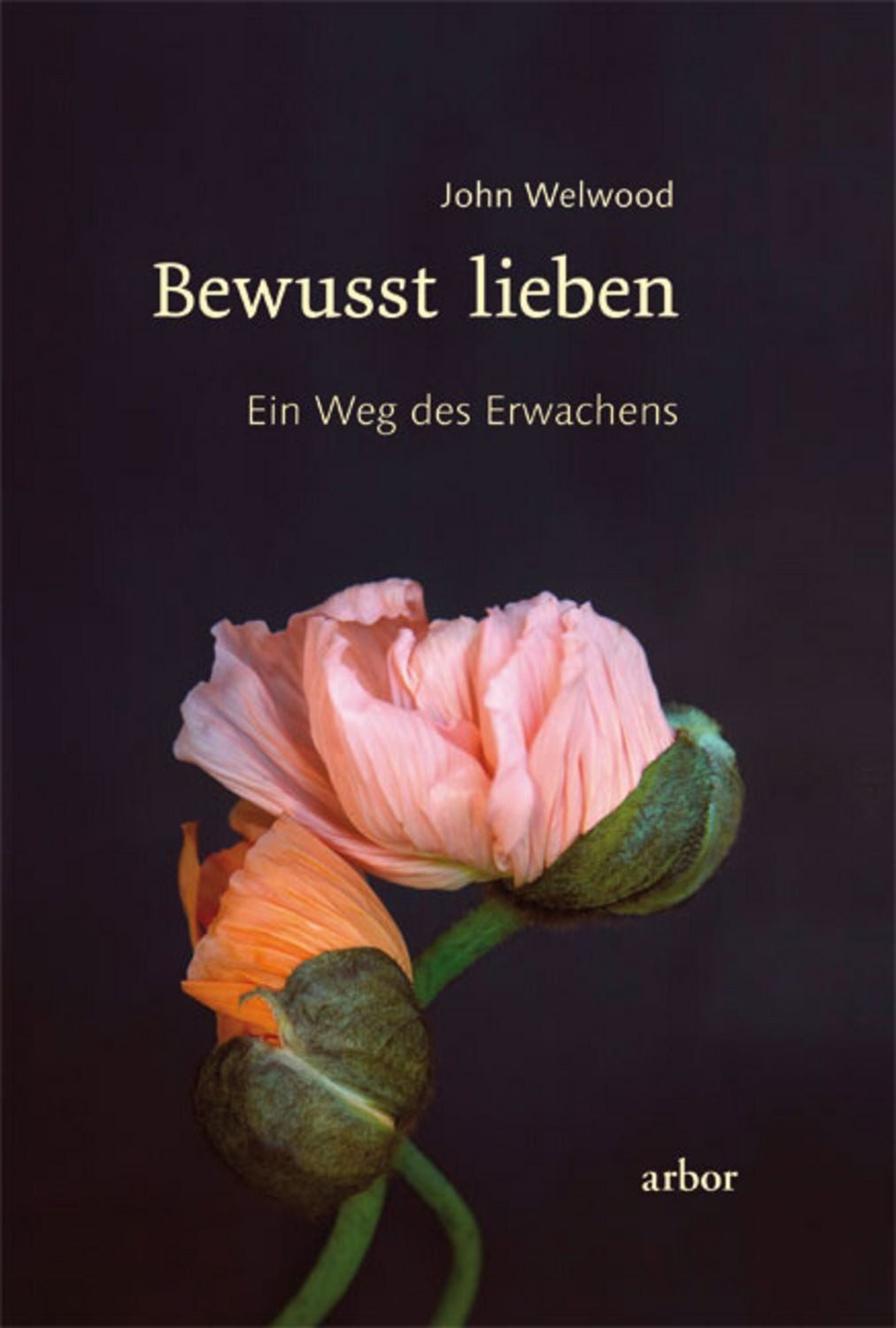 Bewusst lieben / John Welwood