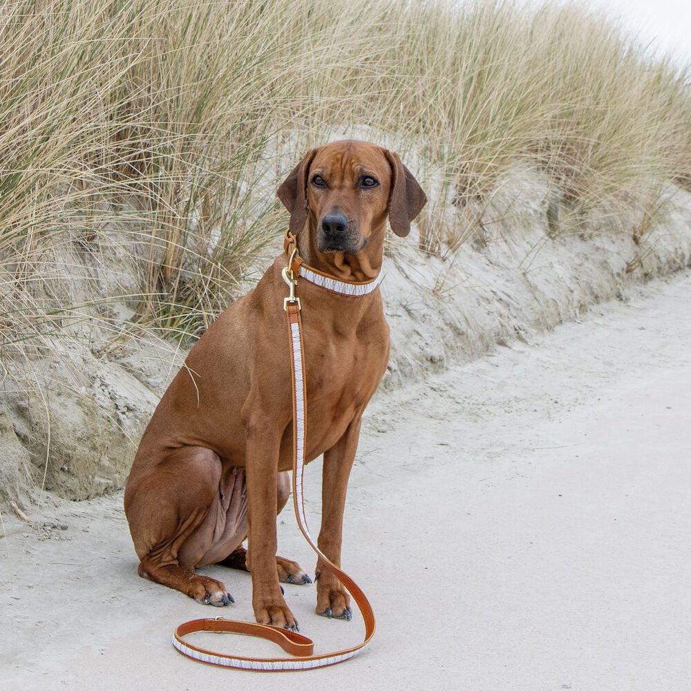 Plakkies Hundeleine Plakkies Hunde Lederleine - handbestickt, Leder (1-tlg), 2 Farben lieferbar