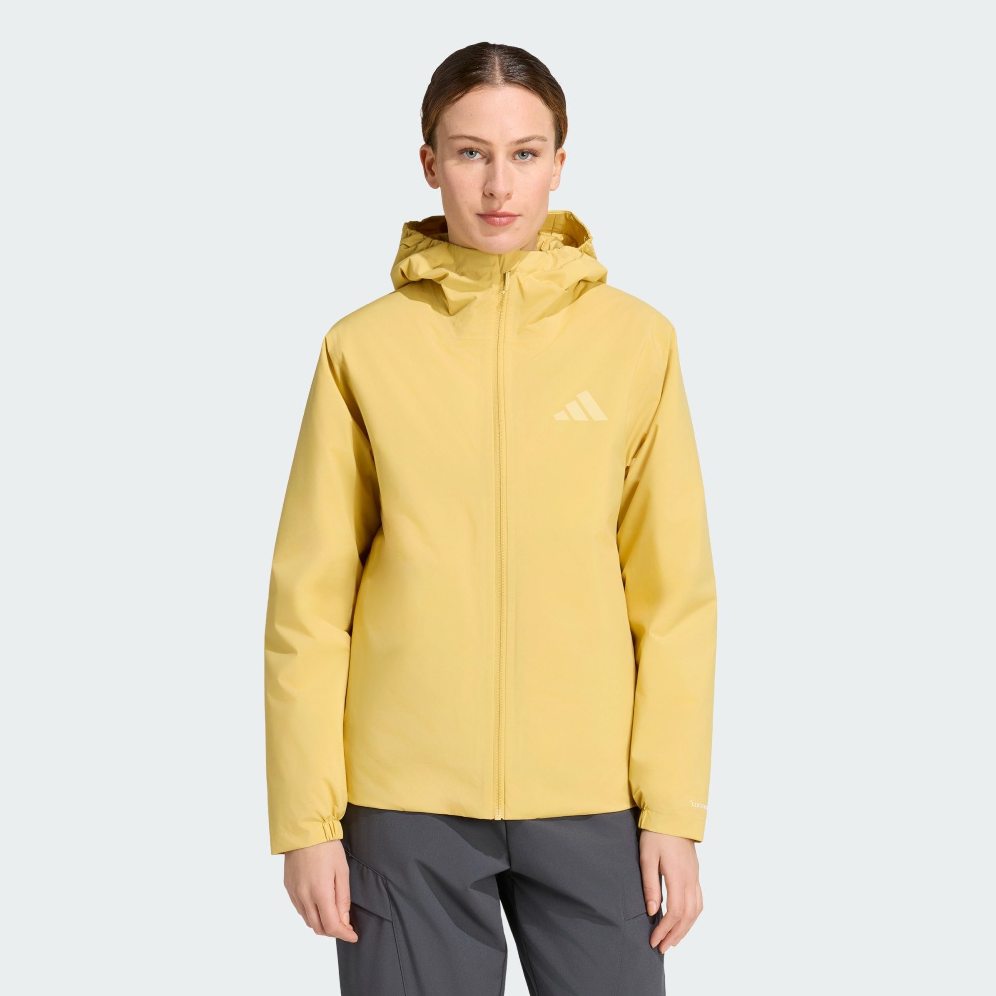 adidas TERREX Funktionsjacke (1-St)