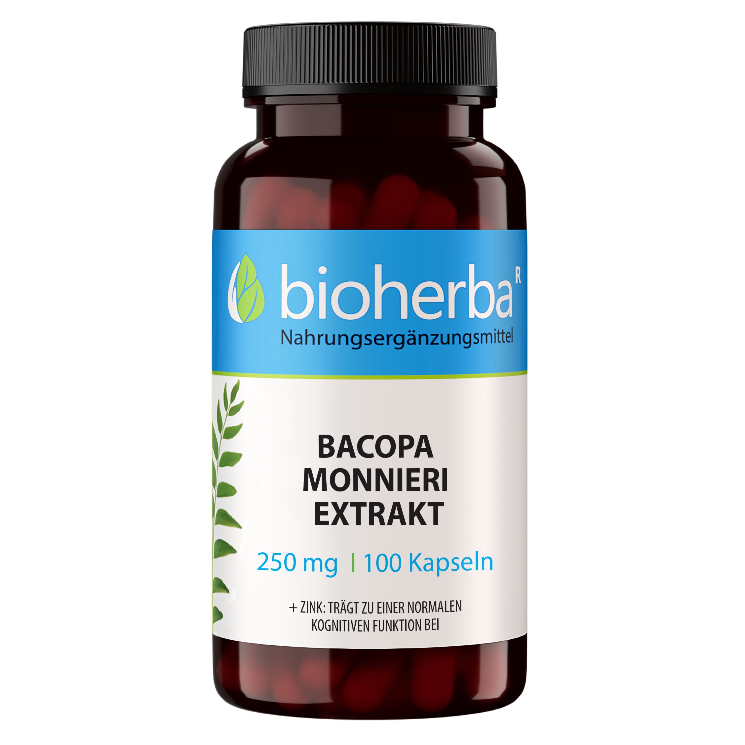 BIOHERBA R Bioherba Bacopa Monnieri Extrakt 250 mg 100 Kapseln Nahrungsergänzungsmittel, 1 er