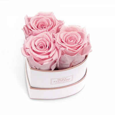 Kunstblume Rosenbox Herz Rosé, 3 Infinity Rosen, 1- 3 Jahre haltbar, echte Rosen Infinity Rose, Holy Flowers, Höhe 10 cm