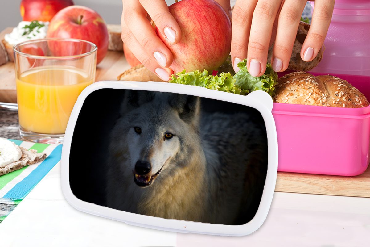 Kinder, Erwachsene, Kunststoff Wolfs, Lunchbox Snackbox, MuchoWow Kunststoff, arktischen Brotbox eines für Nahaufnahme rosa Mädchen, Brotdose (2-tlg),