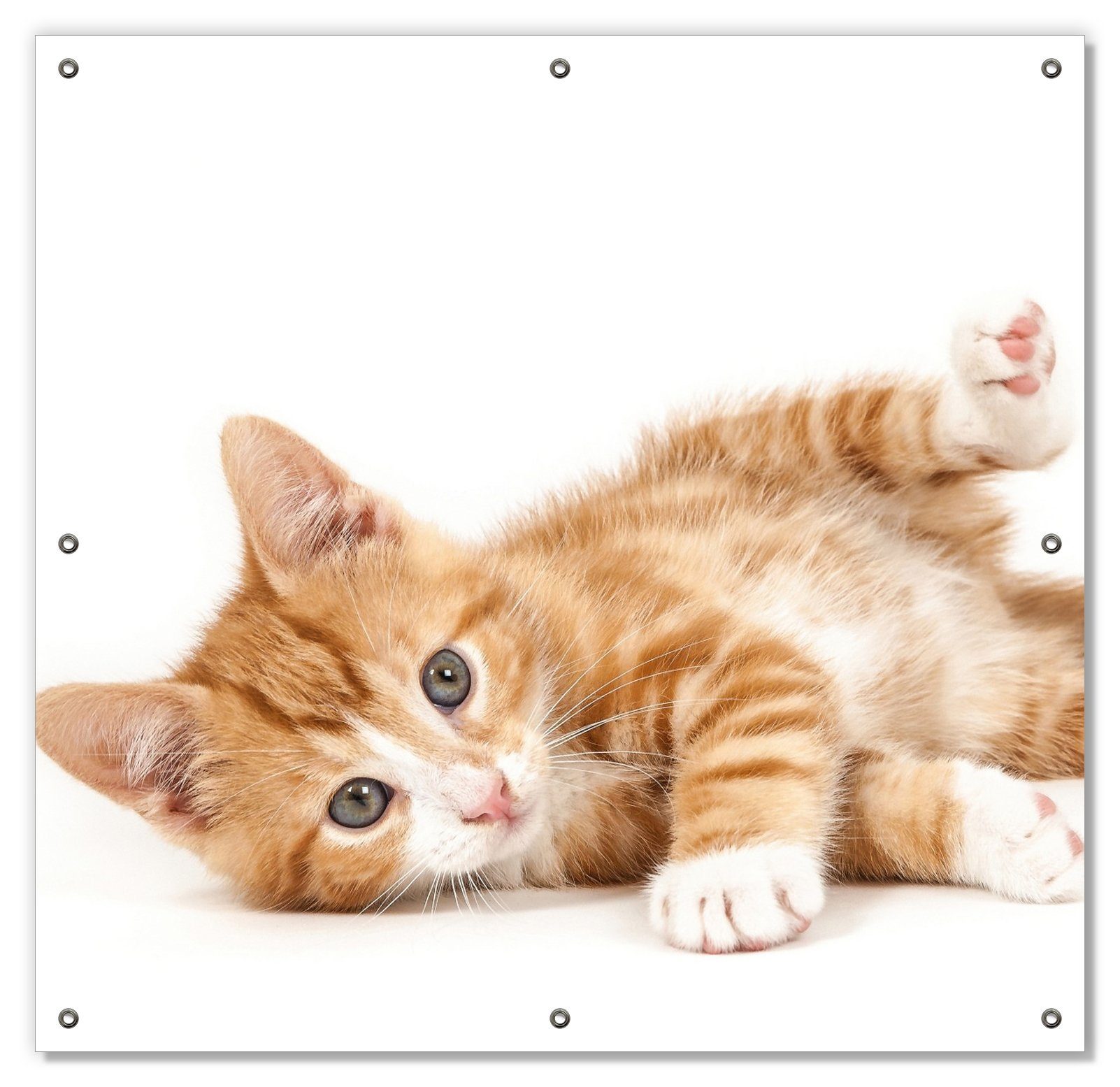 Sonnenschutz Süße Katze mit großen Augen - rot weiß getigert, Wallario, blickdicht, mit Saugnäpfen, wiederablösbar und wiederverwendbar