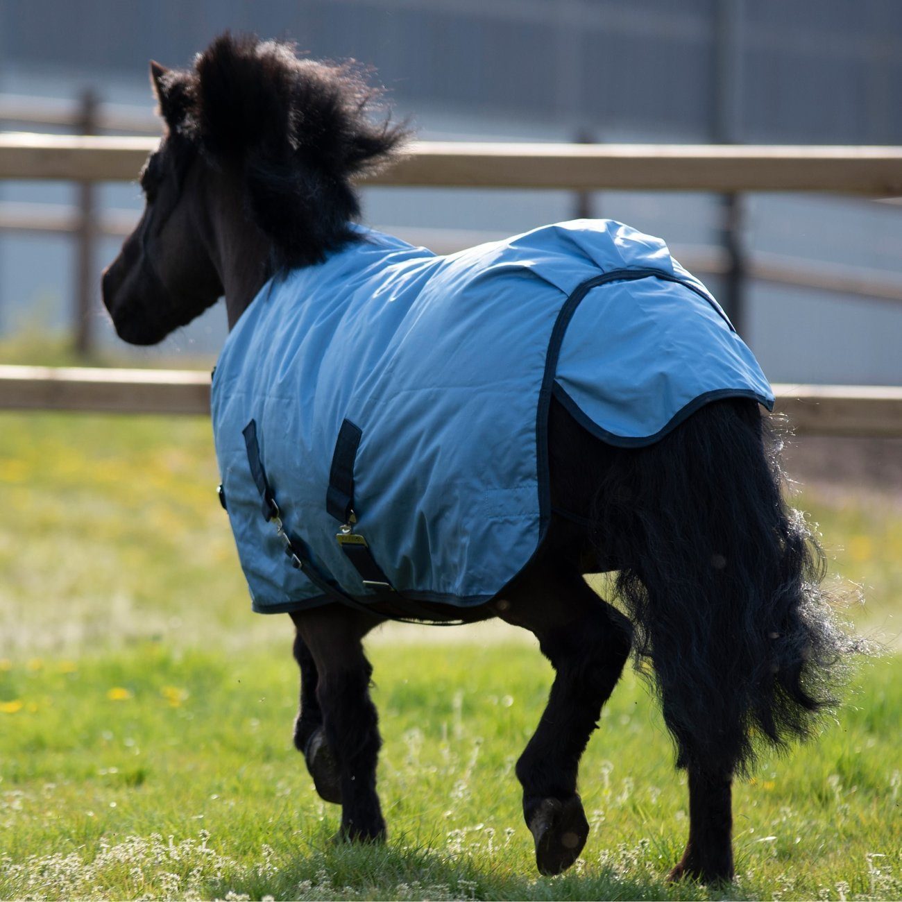 Pony Windchilly Pferdedecke Tierdecke Mini Regendecke BUSSE