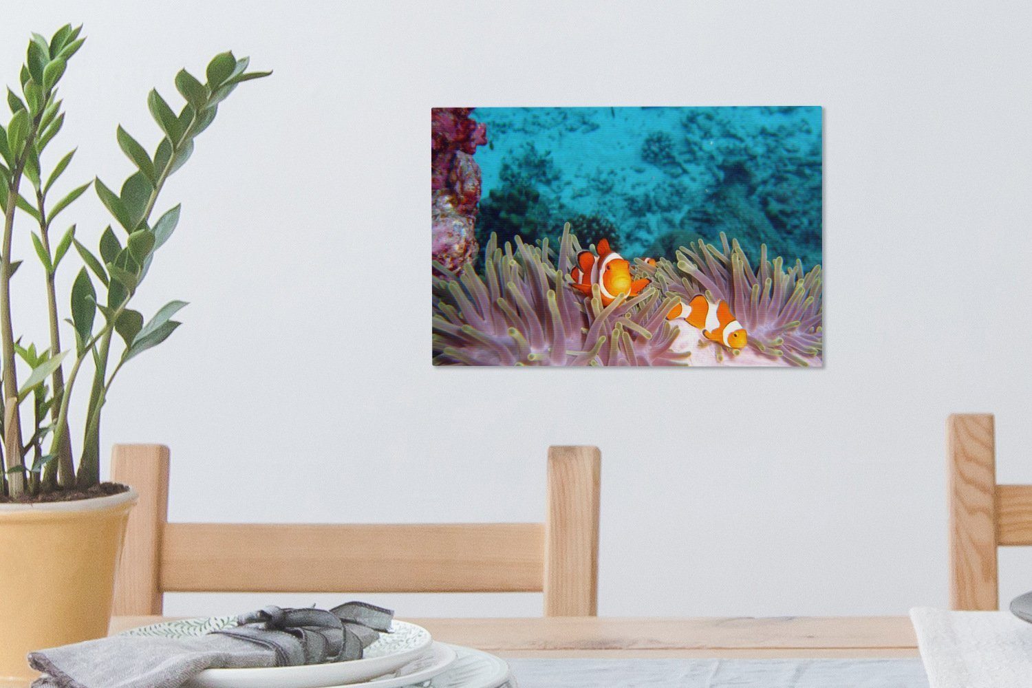OneMillionCanvasses® Leinwandbild (1 Nemo, - Wanddeko, St), 30x20 Aufhängefertig, Leinwandbilder, Wandbild - cm Clown Fisch