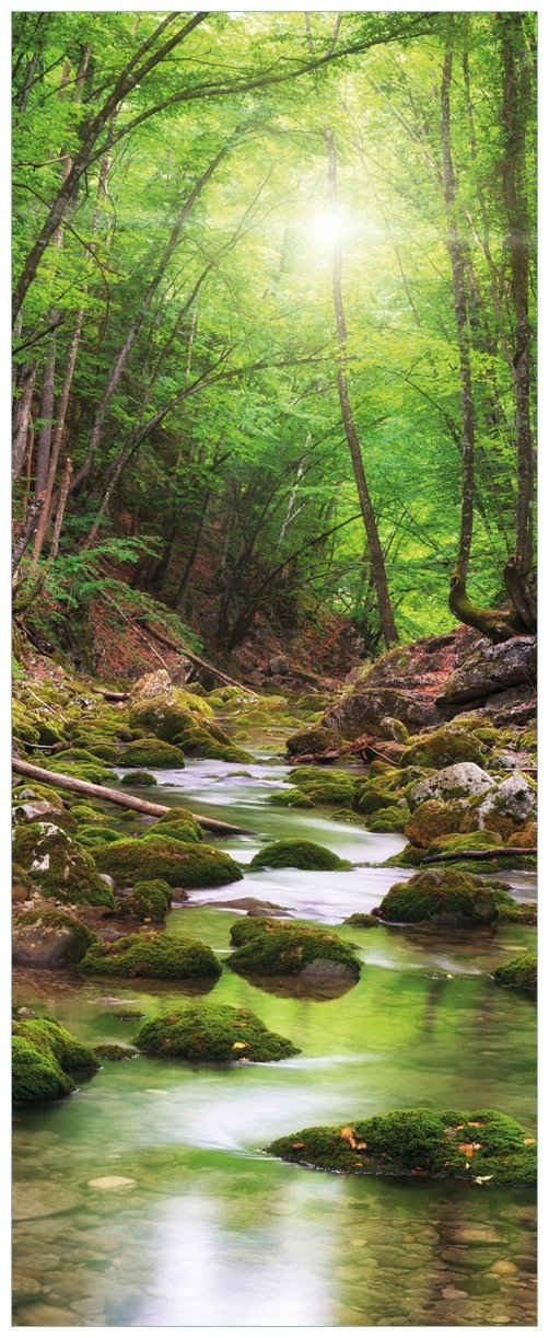 Wallario Glasbild, Fluss im Wald, in verschiedenen Ausführungen