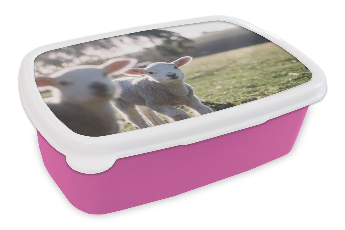 MuchoWow Lunchbox Tiere - Schafe - Lamm, Kunststoff, (2-tlg), Brotbox für Erwachsene, Brotdose Kinder, Snackbox, Mädchen, Kunststoff rosa