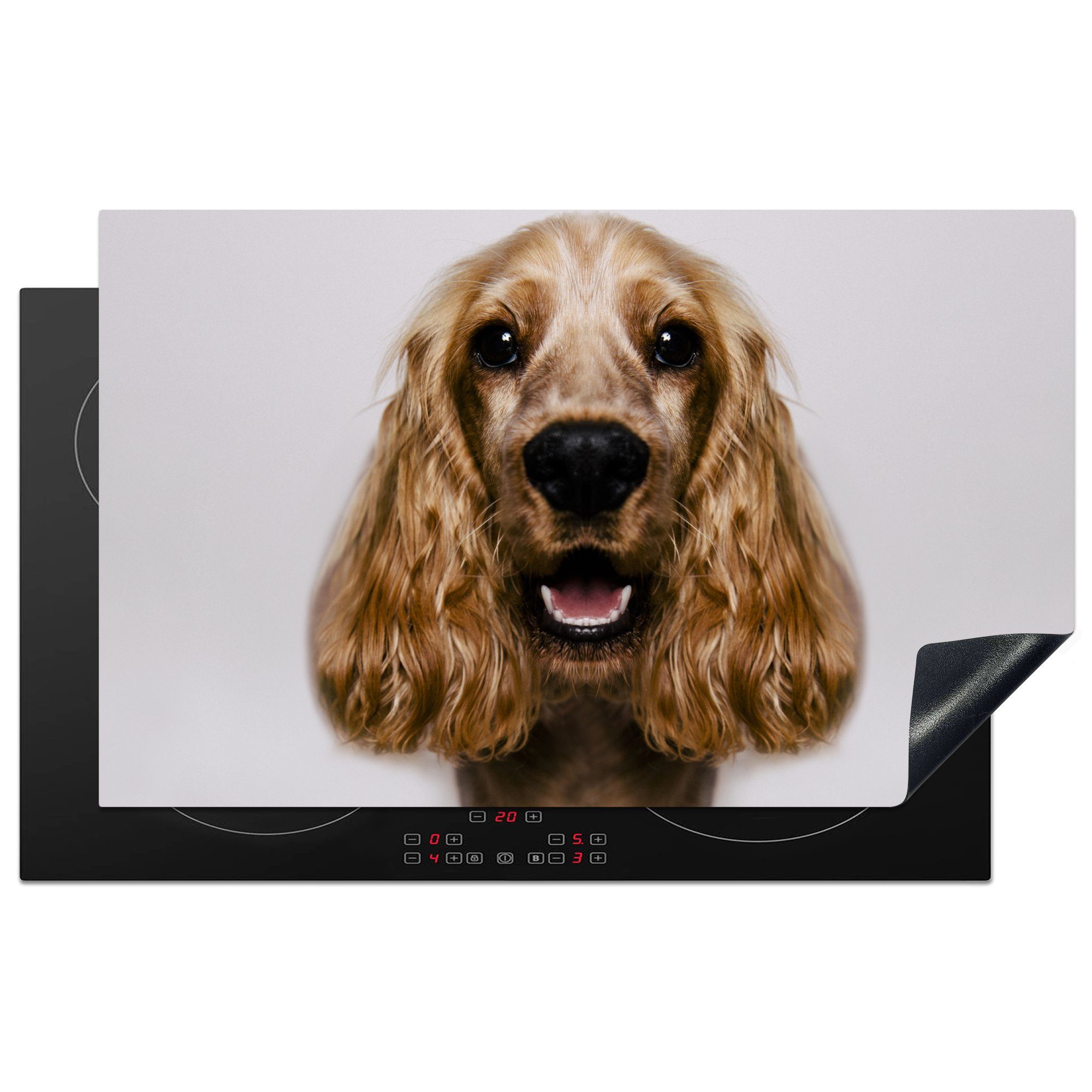 MuchoWow Herdblende-/Abdeckplatte Englischer Cockerspaniel Ceranfeldabdeckung, küche Vinyl, tlg), cm, im Studio, lächelt (1 83x51 Arbeitsplatte für