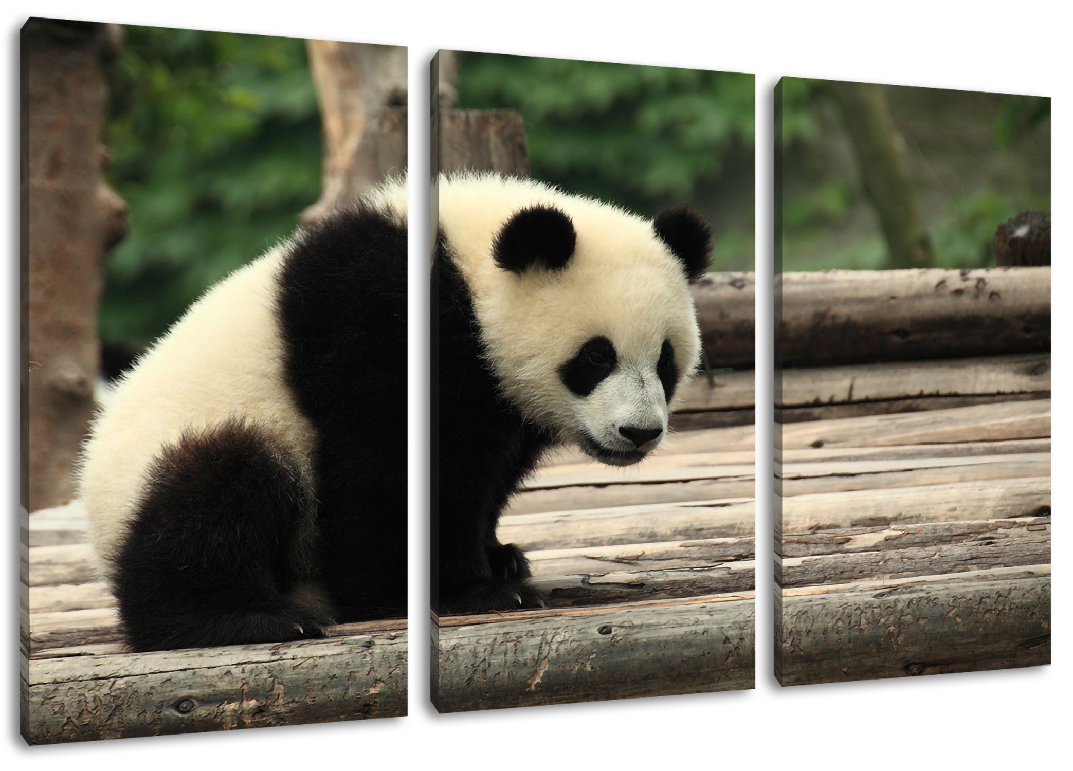 Pixxprint Leinwandbild Panda auf Holzstämmen, Panda auf Holzstämmen 3Teiler (120x80cm) (1 St), Leinwandbild fertig bespannt, inkl. Zackenaufhänger