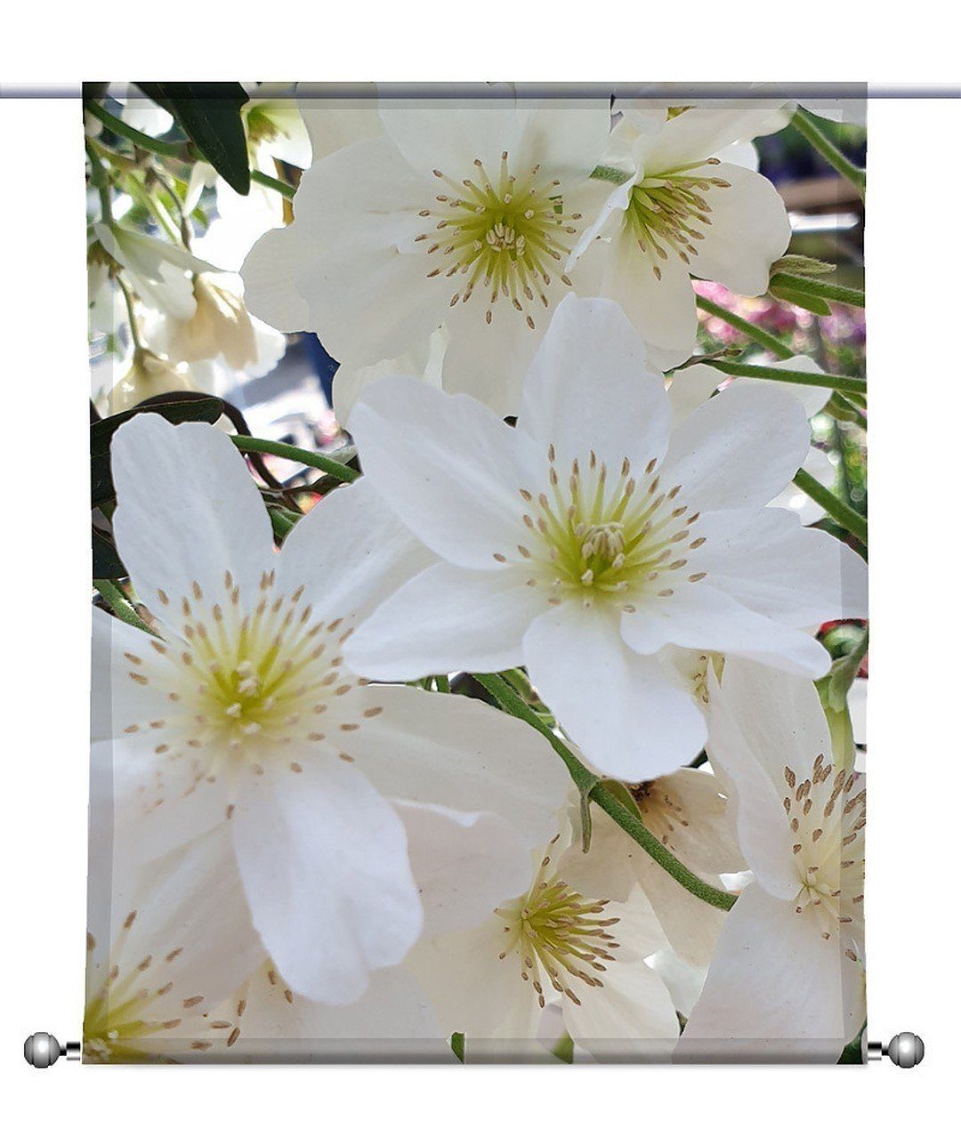 Blüten transparent, Beschwerung mit Weiße - gardinen-for-life Scheibenhänger rechteckig Scheibengardine