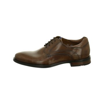 Lloyd braun regular fit Schnürschuh (1-tlg)