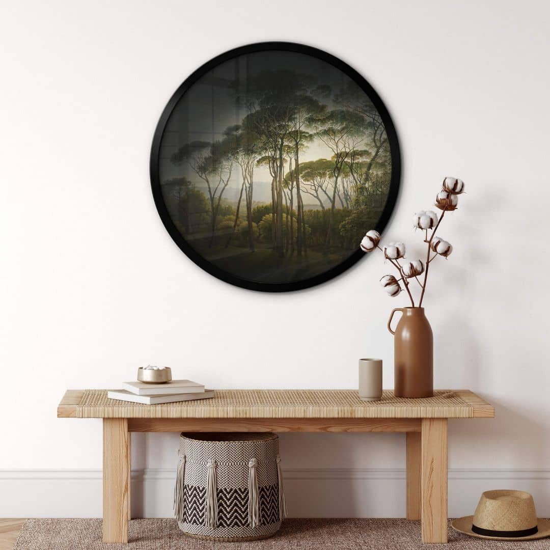 Poster Wandbild Poster Rund Vintage Natur Schirmkiefern Wald Dschungel