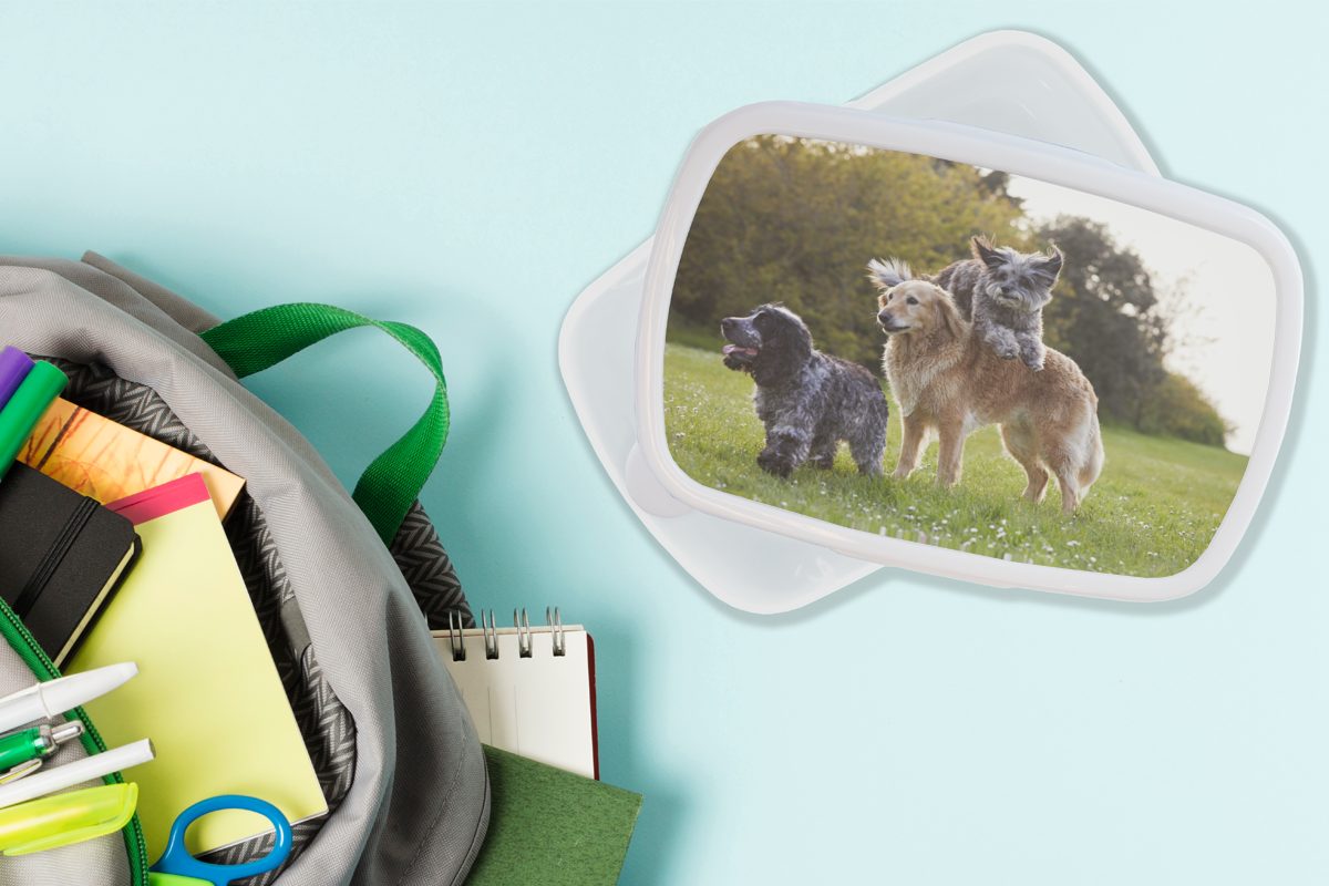 Park Kinder Erwachsene, MuchoWow Brotdose, weiß - (2-tlg), Lunchbox Kunststoff, Gras, und für - und Brotbox Mädchen Jungs Hund für