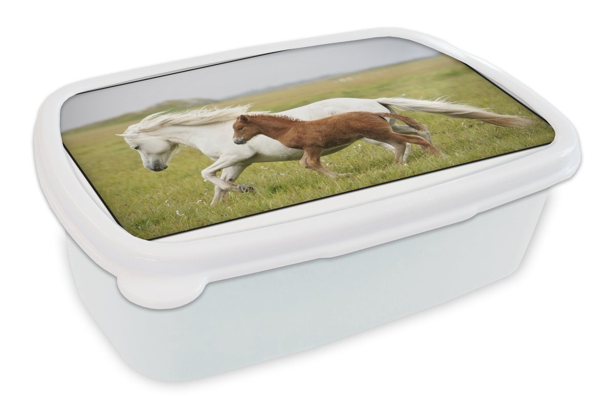 MuchoWow Lunchbox Pferde - Tiere - Gras, Kunststoff, (2-tlg), Brotbox für Kinder und Erwachsene, Brotdose, für Jungs und Mädchen weiß