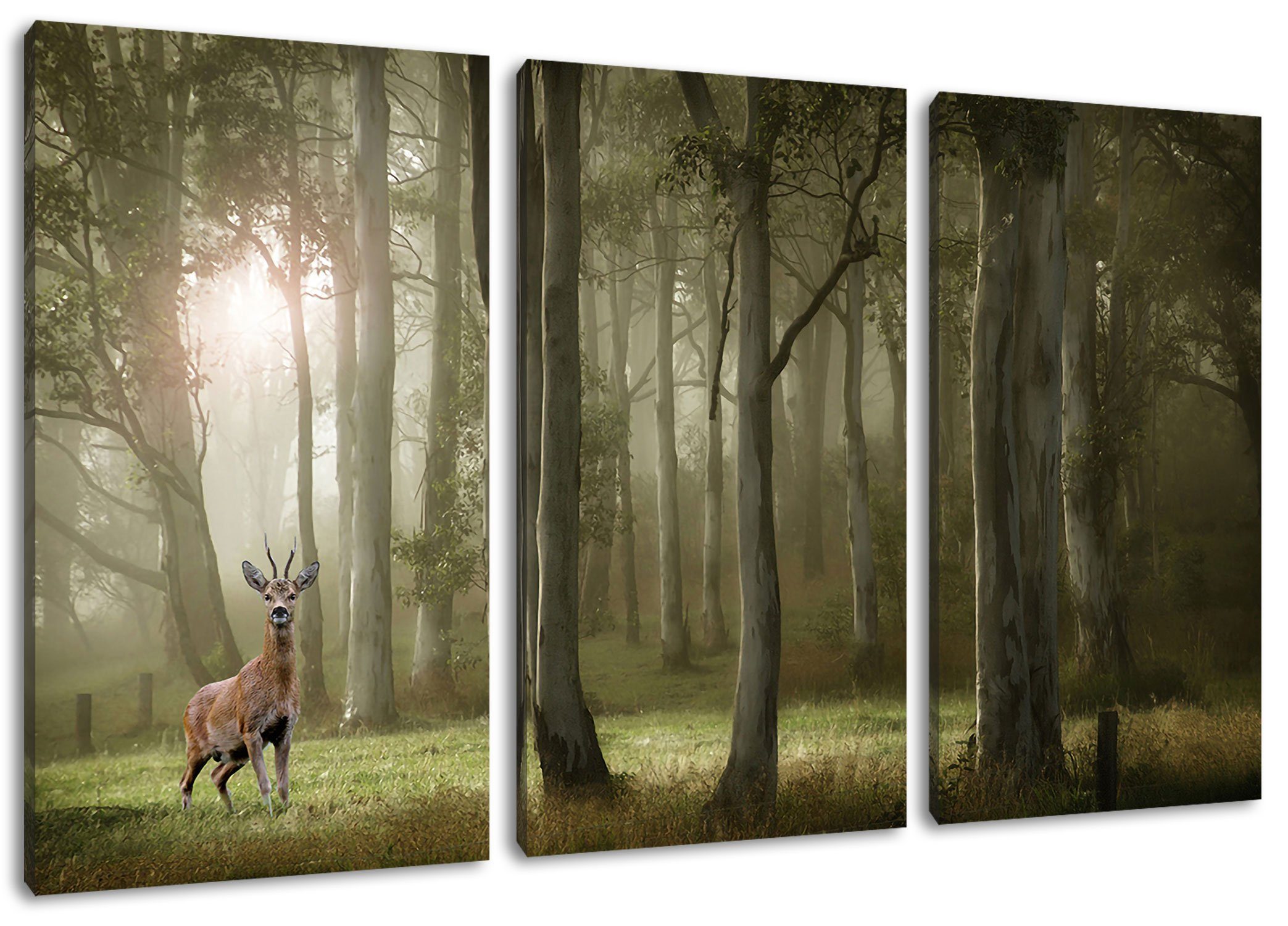 Pixxprint Leinwandbild Hirsch im Wald, Hirsch im Wald 3Teiler (120x80cm) (1 St), Leinwandbild fertig bespannt, inkl. Zackenaufhänger