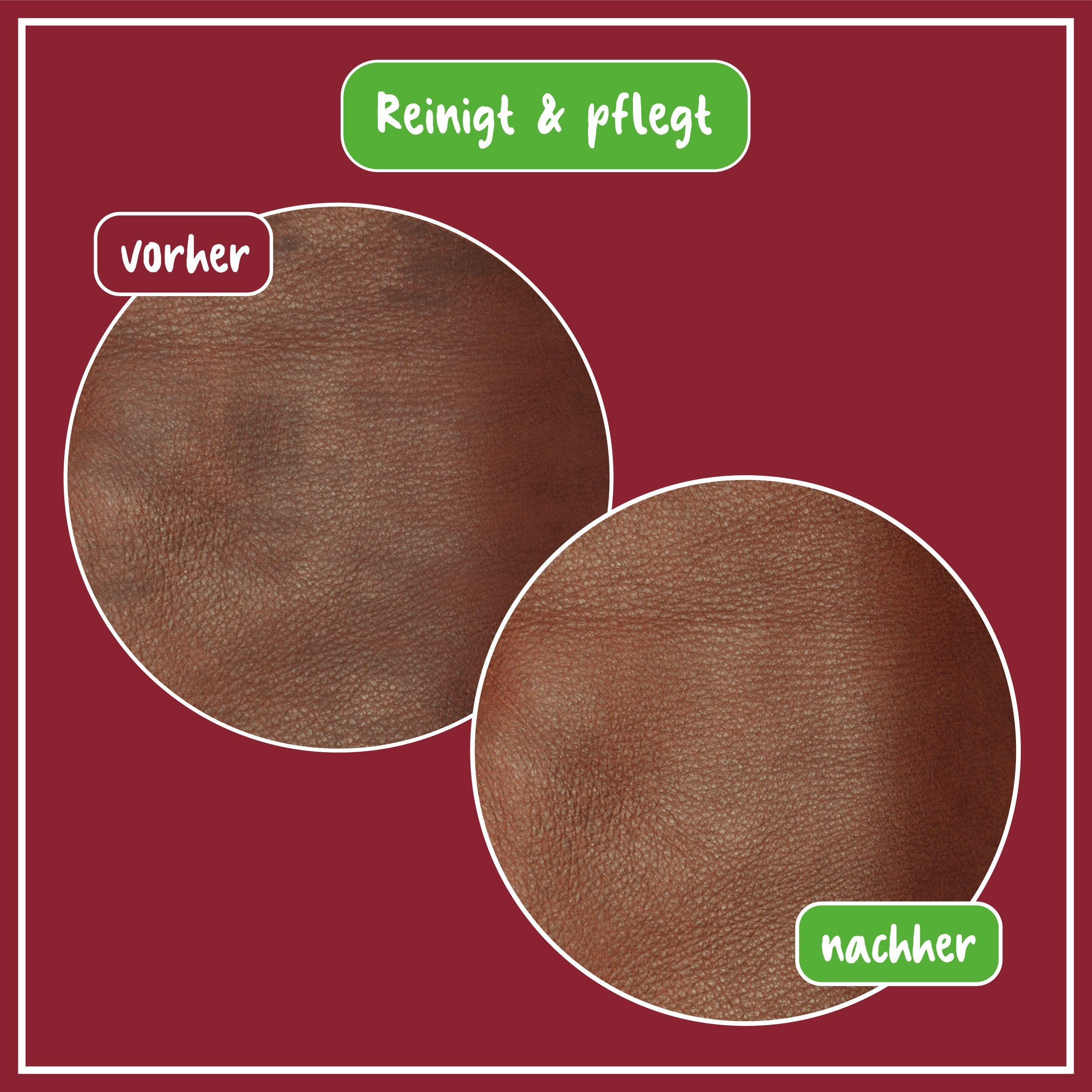 poliboy Leder Intensiv Pflege - reinigt, pflegt und schützt - 10x375ml Lederreiniger (für alle glatten und genarbten Leder - Made in Germany)