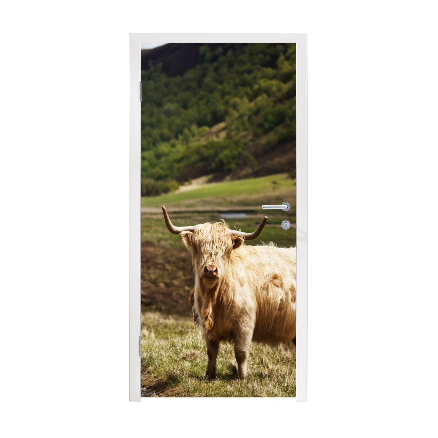 MuchoWow Türtapete Schottische Highlander - Pfad - Wald, Matt, bedruckt, (1 St), Fototapete für Tür, Türaufkleber, 75x205 cm