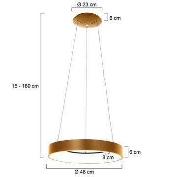 Steinhauer LIGHTING LED Pendelleuchte, Pendellampe Esstischleuchte Hängelampe gold Wohnzimmerlampe Ring LED H
