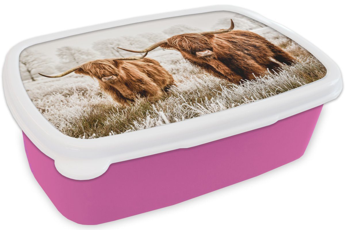 MuchoWow Lunchbox Natur für Kunststoff, Kuh Brotdose - Kinder, Schottischer - Snackbox, Erwachsene, (2-tlg), Mädchen, Kunststoff Winter, - Hochländer Brotbox rosa