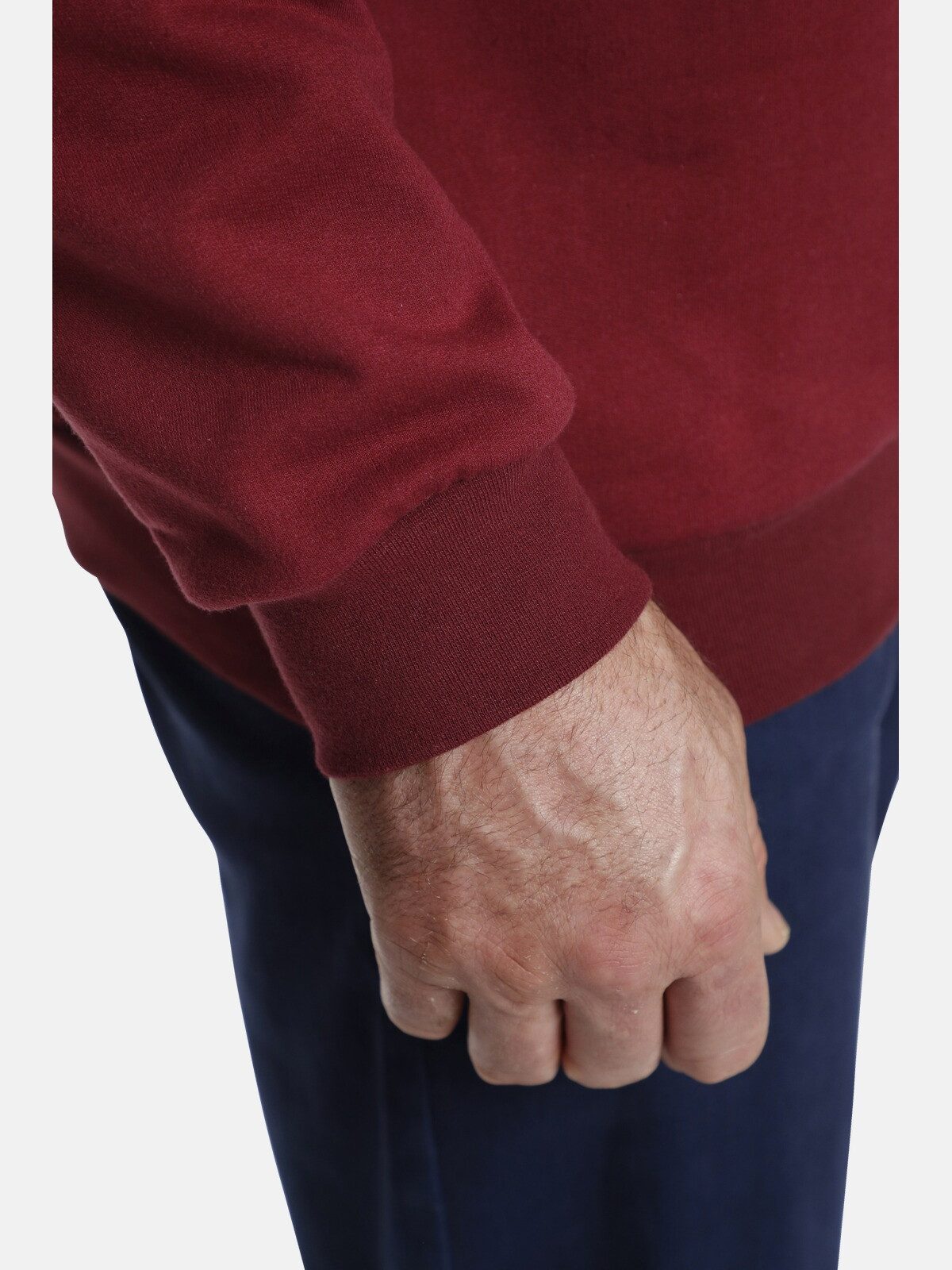 Charles Colby Sweatshirt EARL AEDAN aus reiner Baumwolle mit Print