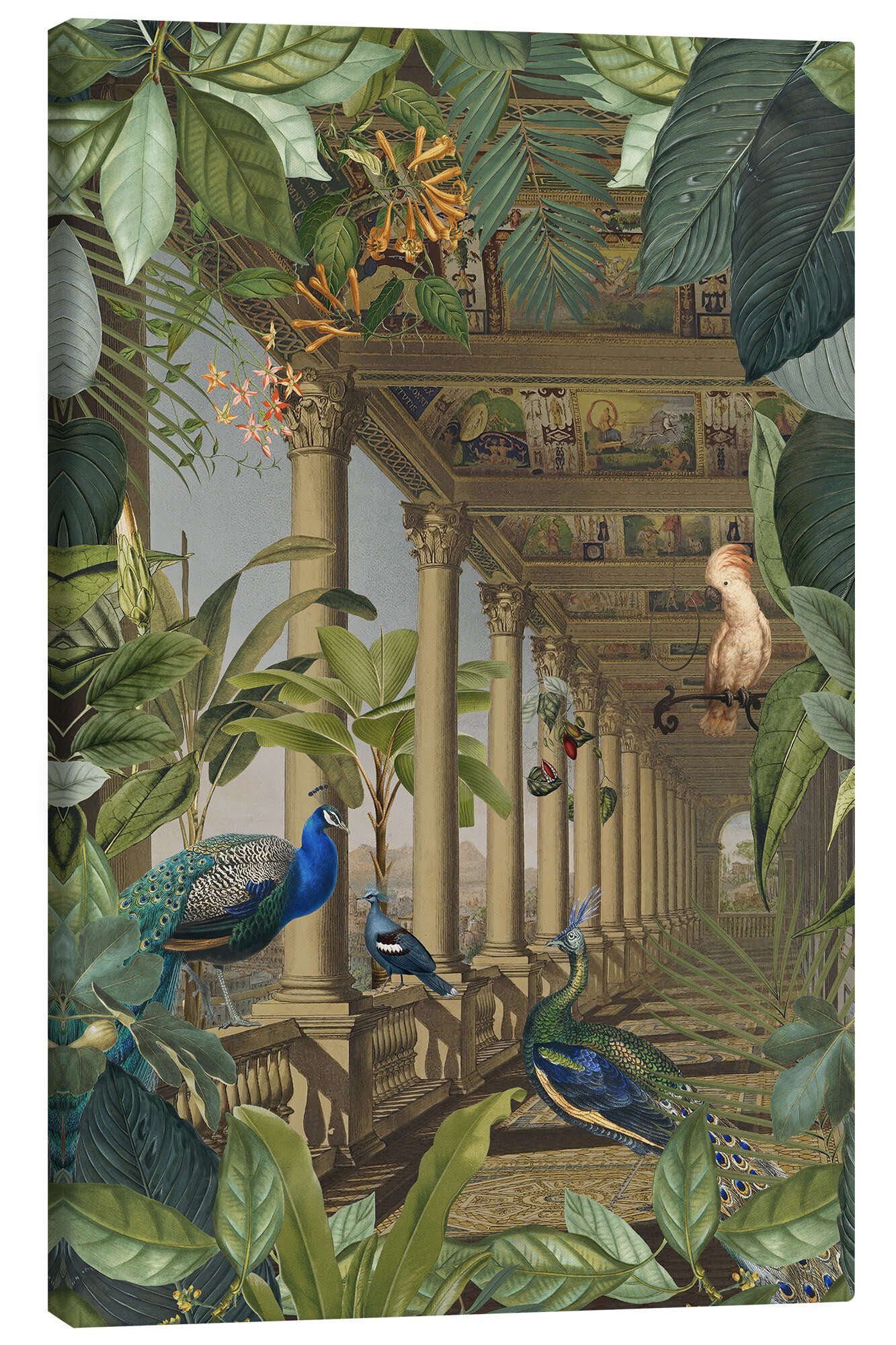 Posterlounge Leinwandbild Andrea Haase, Verlorener Dschungel mit Pfauen, Illustration