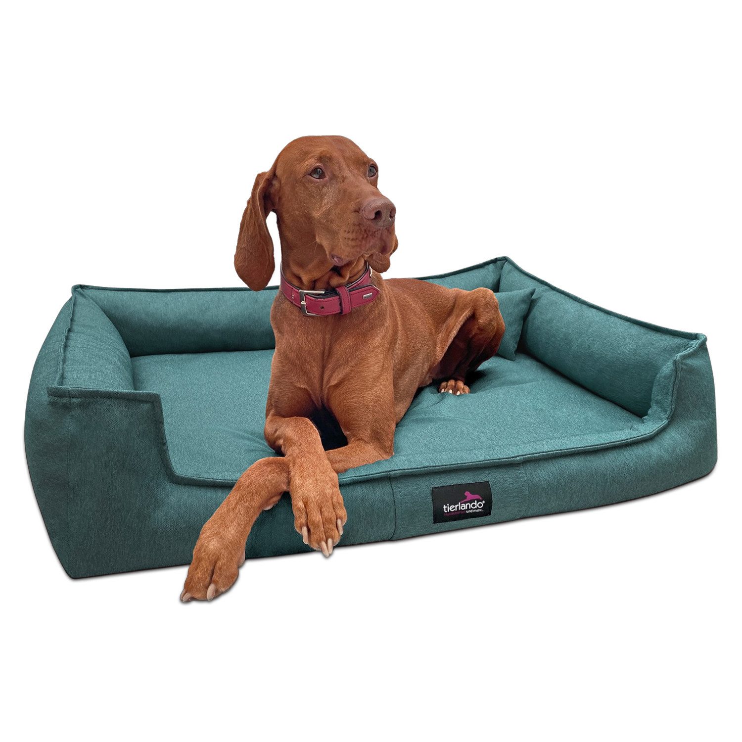 tierlando® Tierbett Orthopädisches Hundebett GUSTAV SCANDI günstig online kaufen