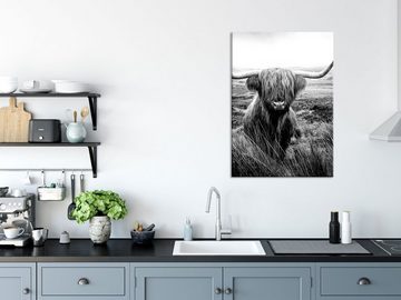Pixxprint Glasbild Highland Rind mit großen Hörnern Steppe, Monochrome, Highland Rind mit großen Hörnern Steppe, Monochrome (1 St), Glasbild aus Echtglas, inkl. Aufhängungen und Abstandshalter
