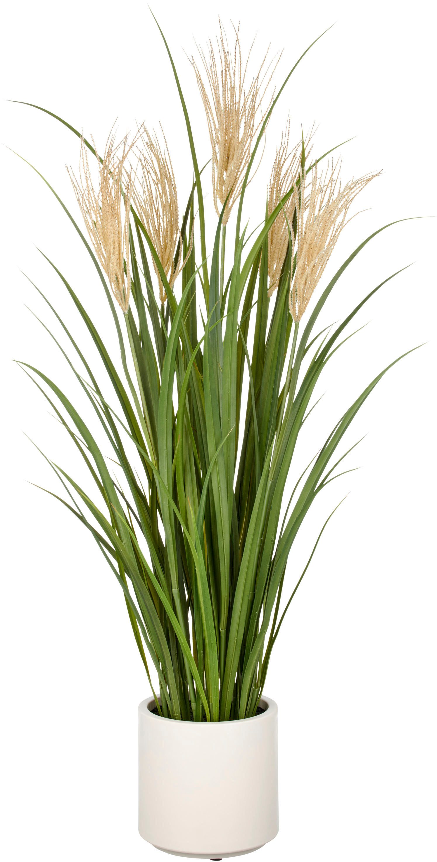 Kunstgras Grasbusch Schilfrohr, Creativ green, Höhe 125 cm, im eleganten Topf