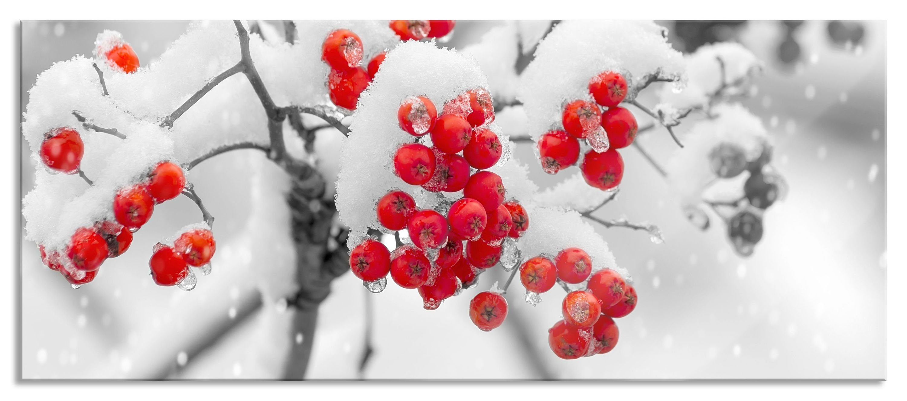 Glasbild Rote Vogelbeeren im Winter