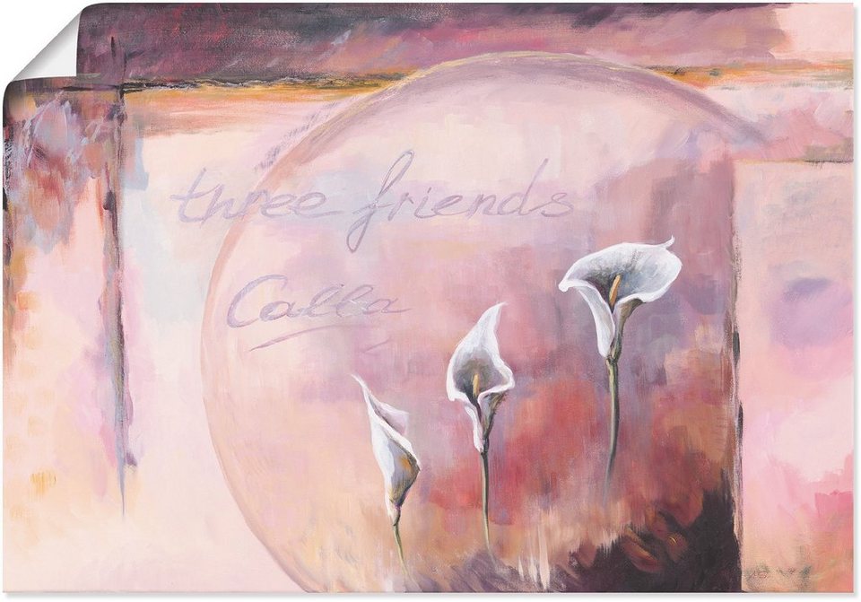Artland Wandbild Calla, Blumenbilder (1 St), als Alubild, Leinwandbild,  Wandaufkleber oder Poster in versch. Größen