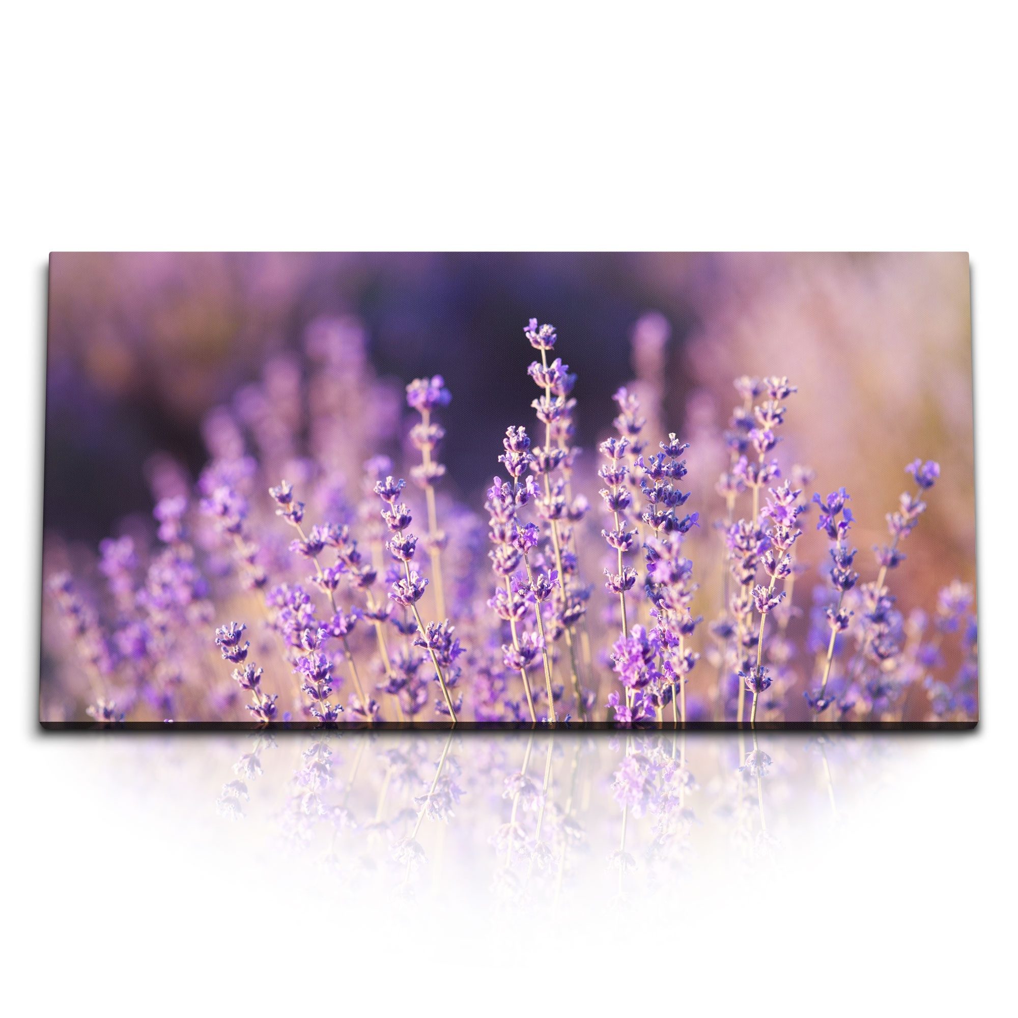 Leinwandbild Kunstdruck Bilder 120x60cm Lavendel Lila Blumen Sommer Wildblumen