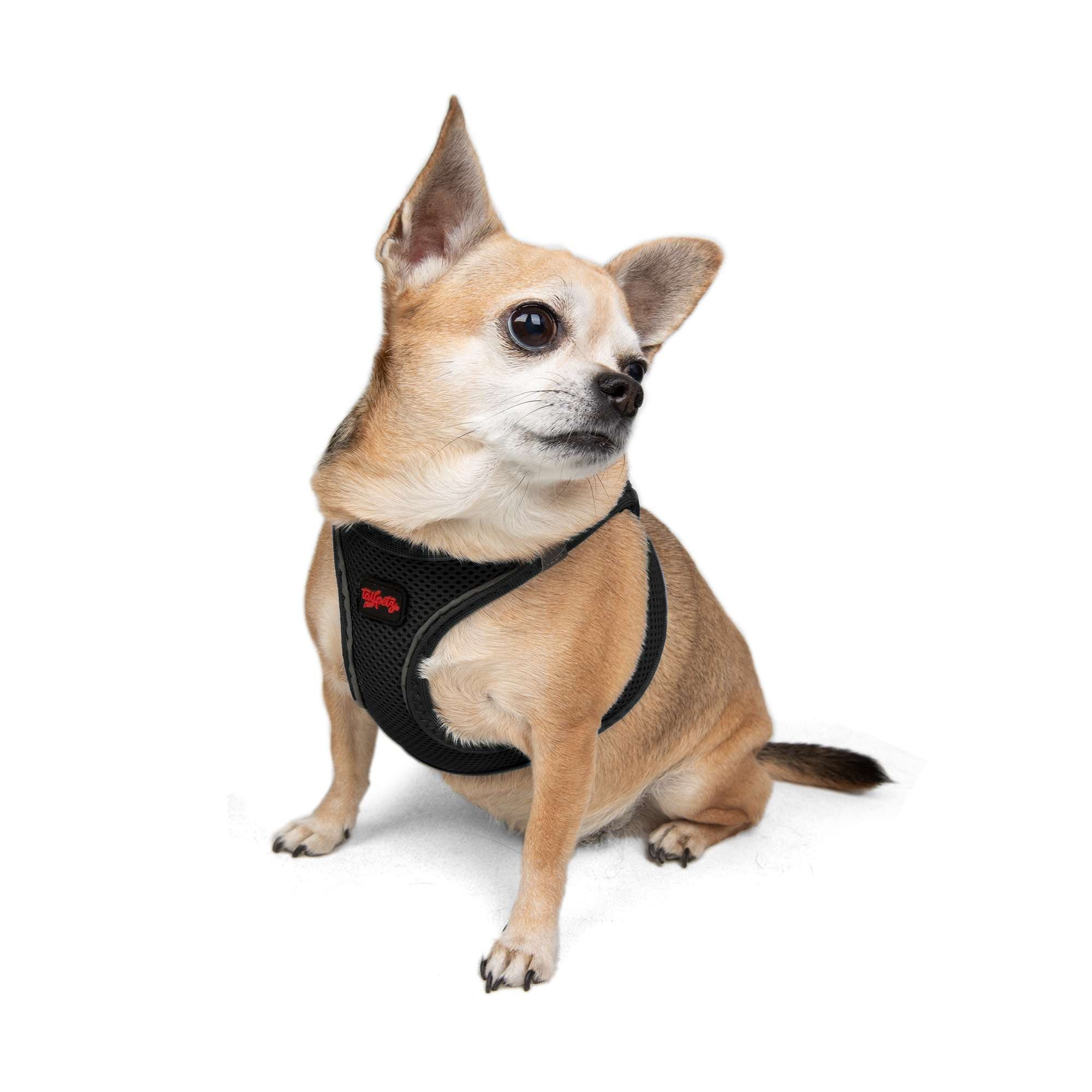 Jumeon Hunde-Geschirr Air Mesh - 3XS-2XS-XS-S GROßE, Strapazierfähig & lang günstig online kaufen