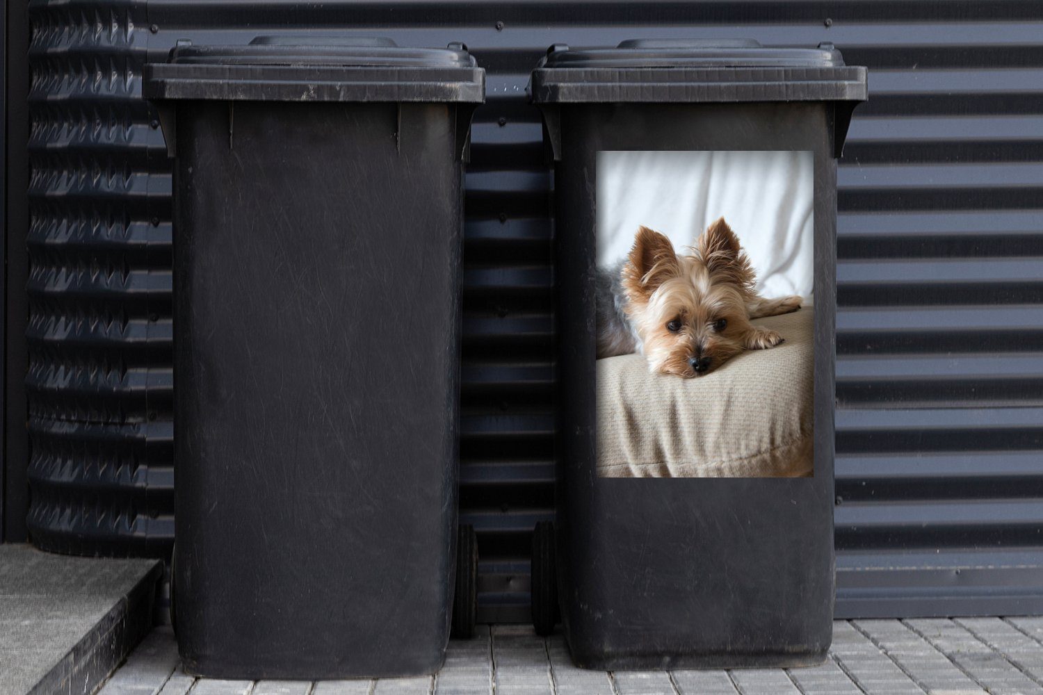 MuchoWow Wandsticker Sticker, Terrier (1 Sofa Container, Mülleimer-aufkleber, Yorkshire Abfalbehälter St), liegt Mülltonne, schlafend dem auf